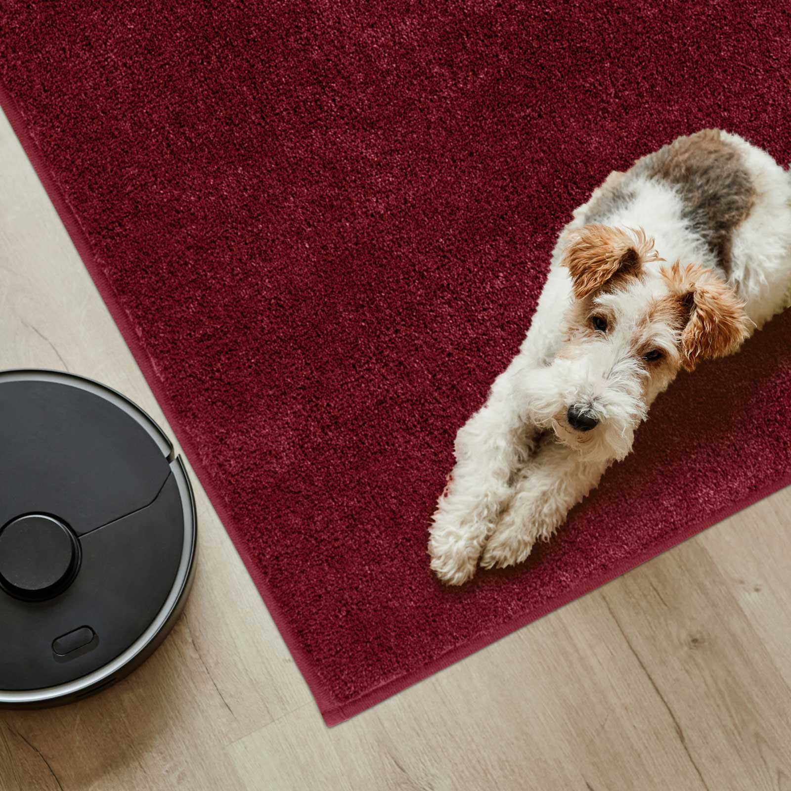 Machine Washable Solid Dirt Trapper Door Mat