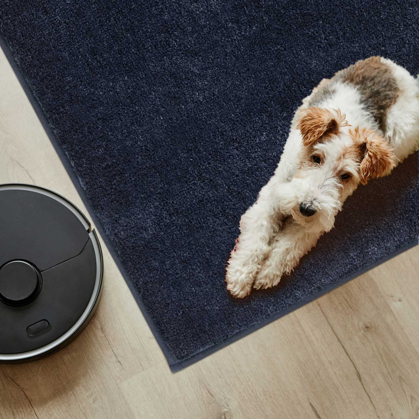 Machine Washable Solid Dirt Trapper Door Mat