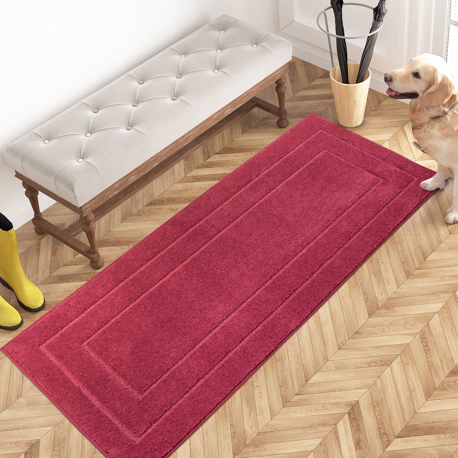 Machine Washable Bordered Dirt Trapper Door Mat