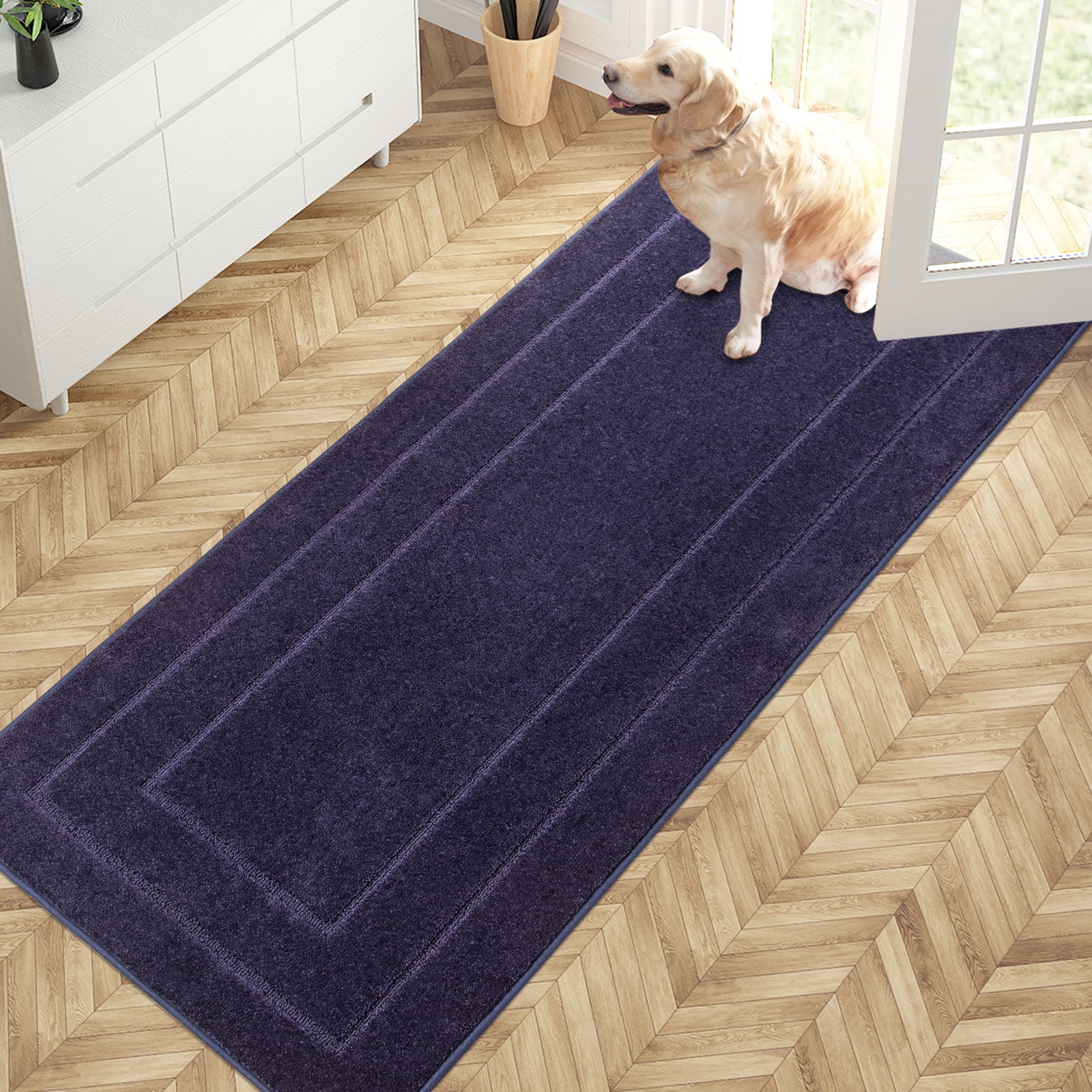 Machine Washable Bordered Dirt Trapper Door Mat