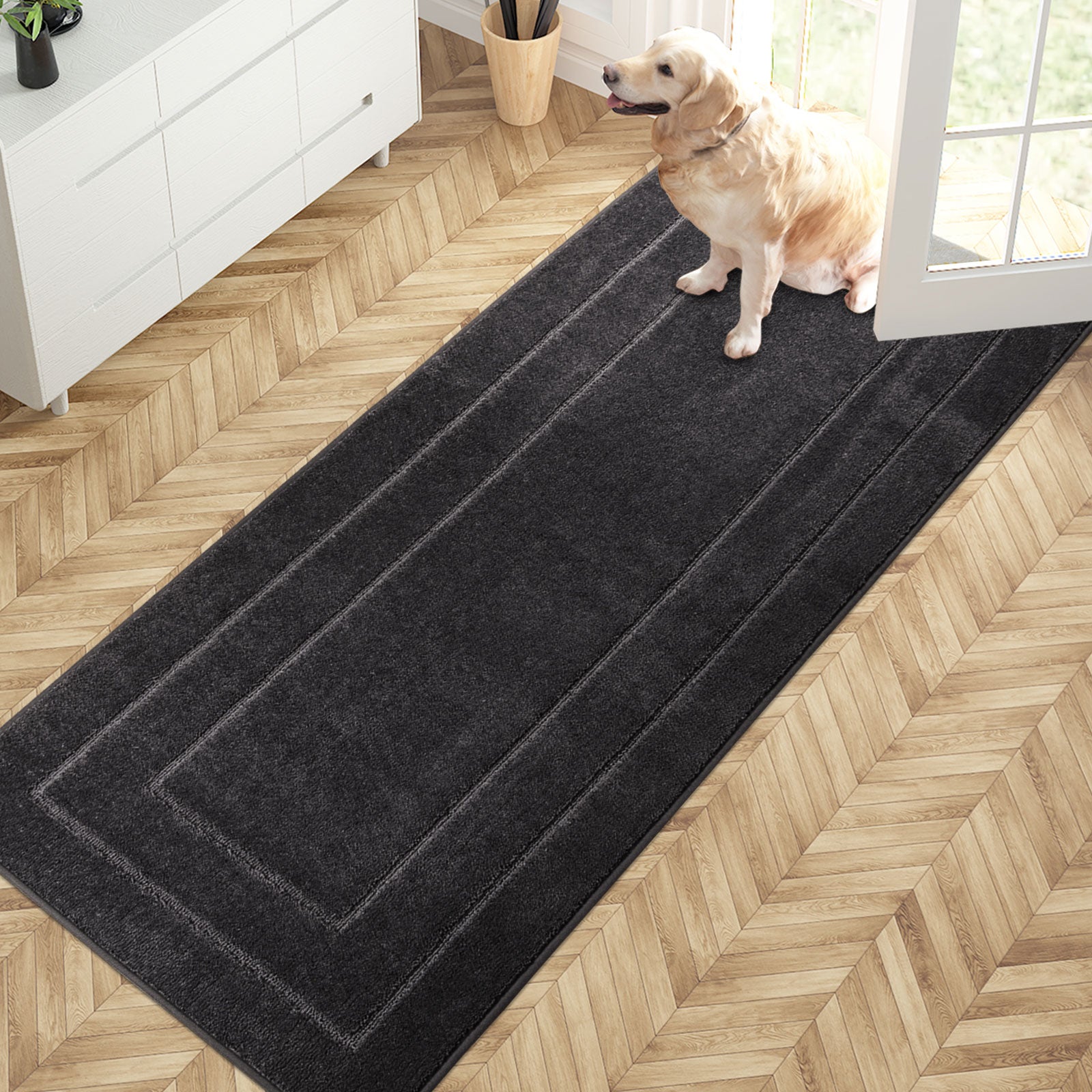 Machine Washable Bordered Dirt Trapper Door Mat