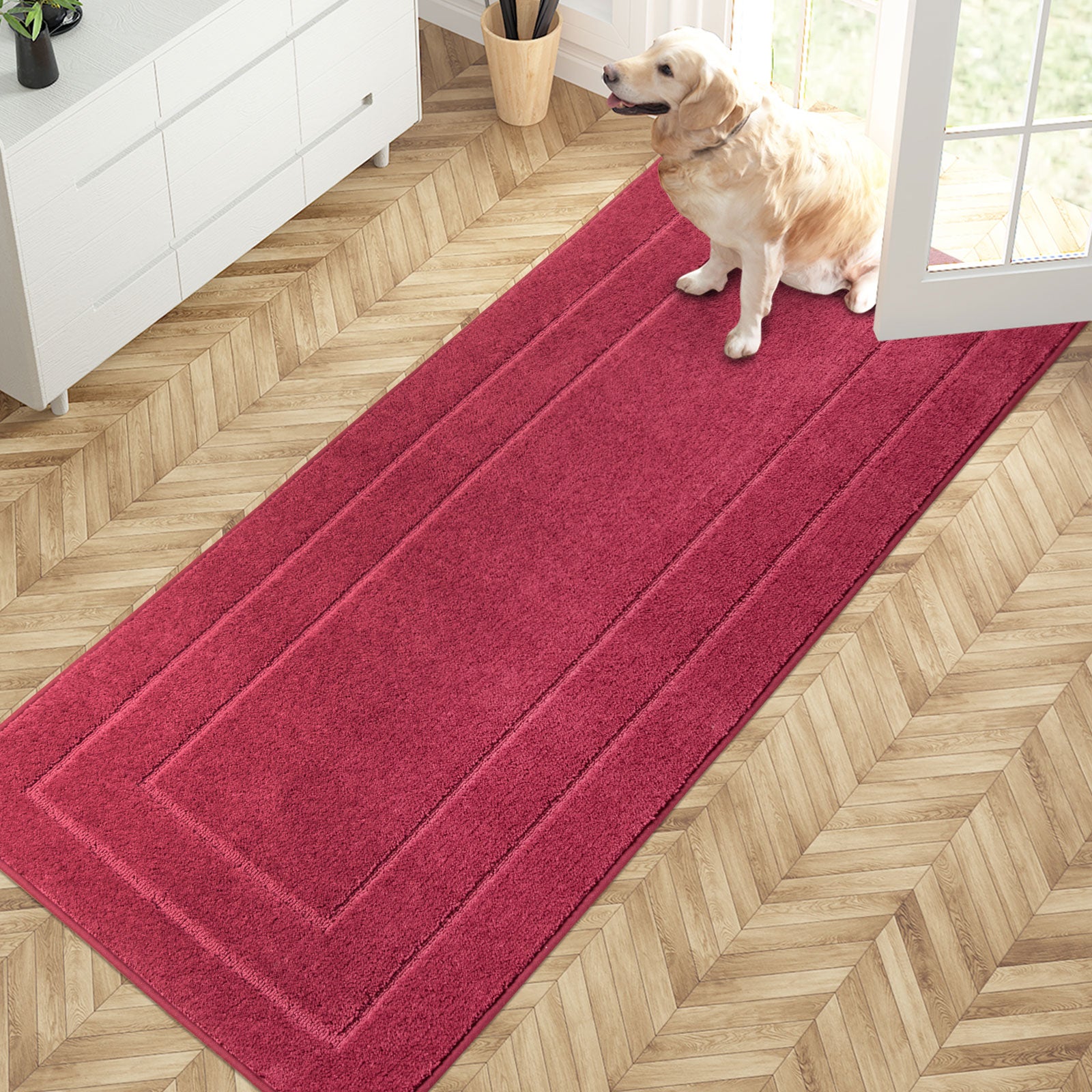 Machine Washable Bordered Dirt Trapper Door Mat