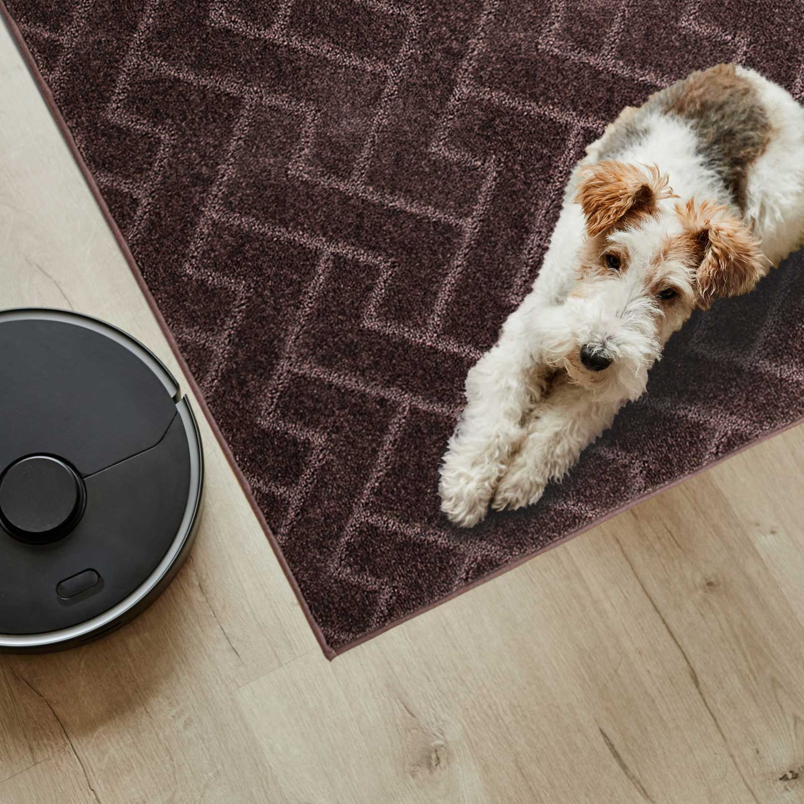 Machine Washable Chevron Dirt Trapper Door Mat