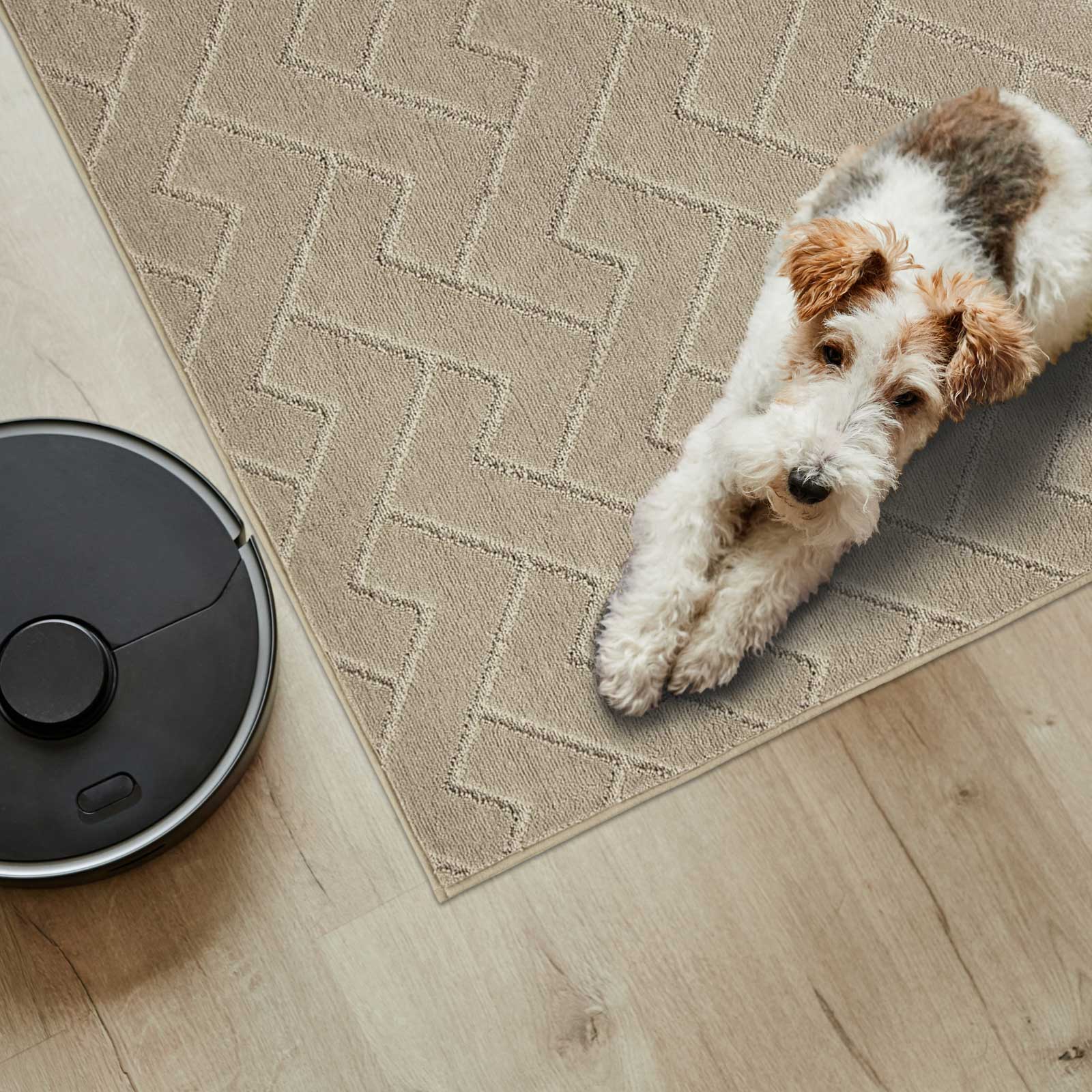 Machine Washable Chevron Dirt Trapper Door Mat