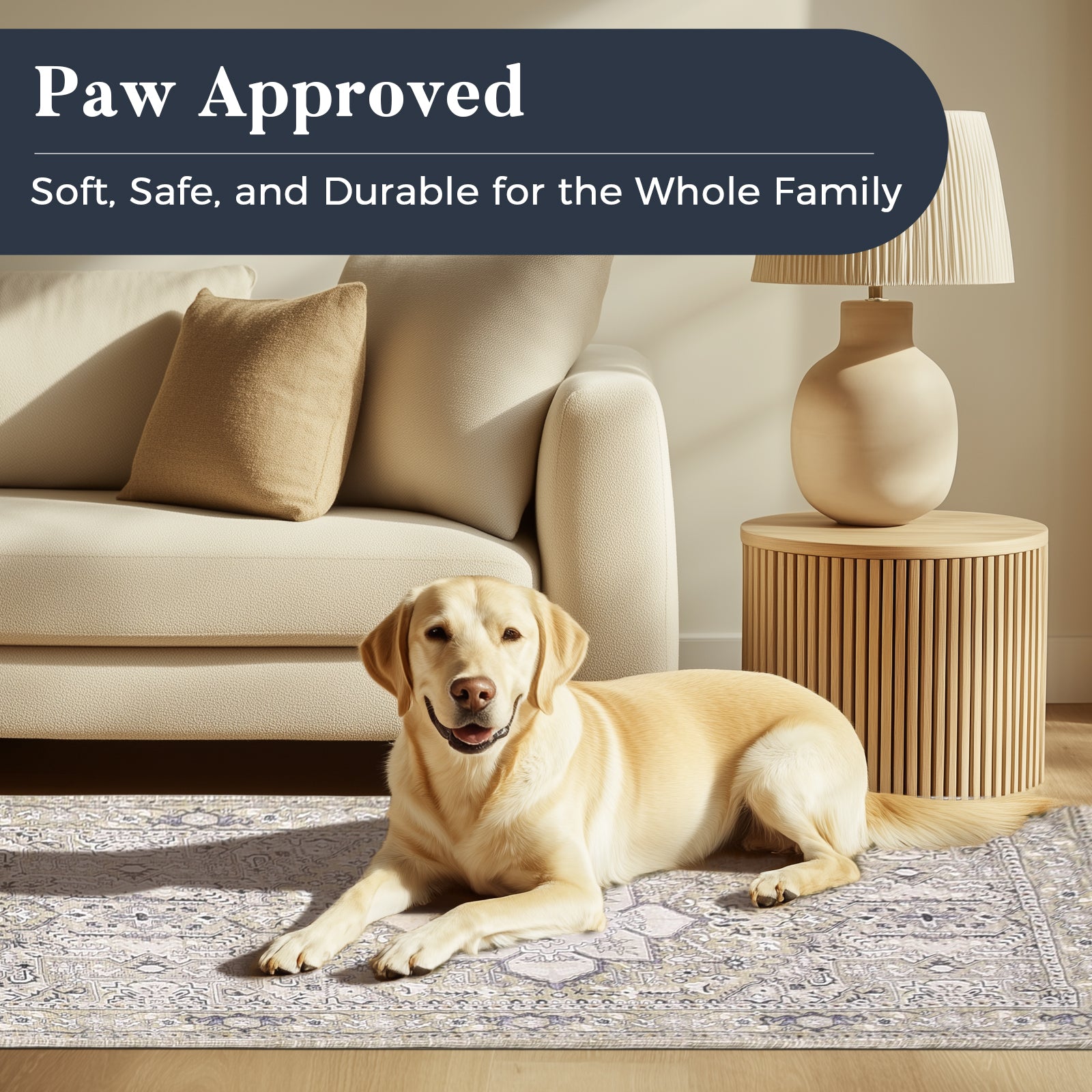 Machine Washable Farmhouse Boho Area Rug