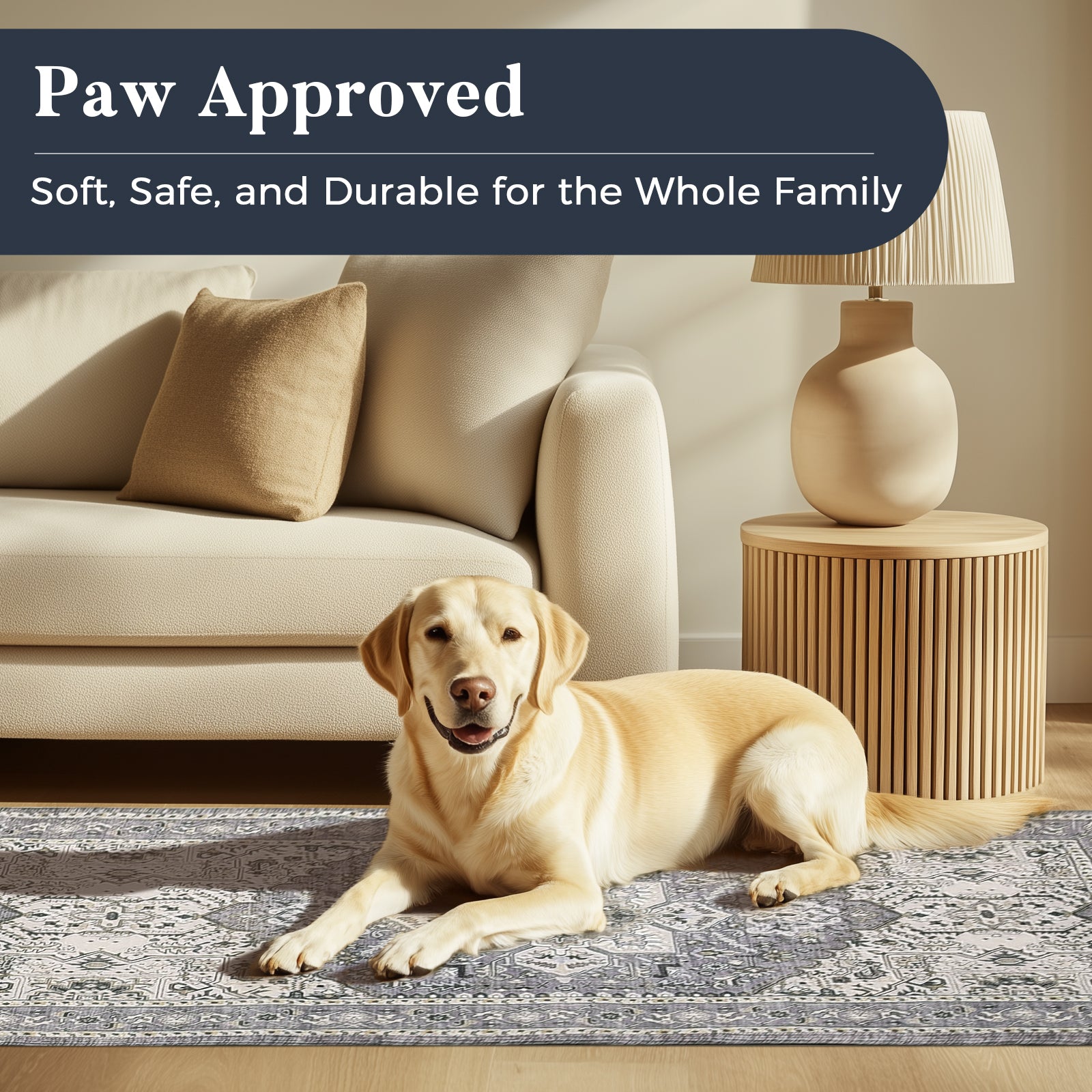 Machine Washable Farmhouse Boho Area Rug