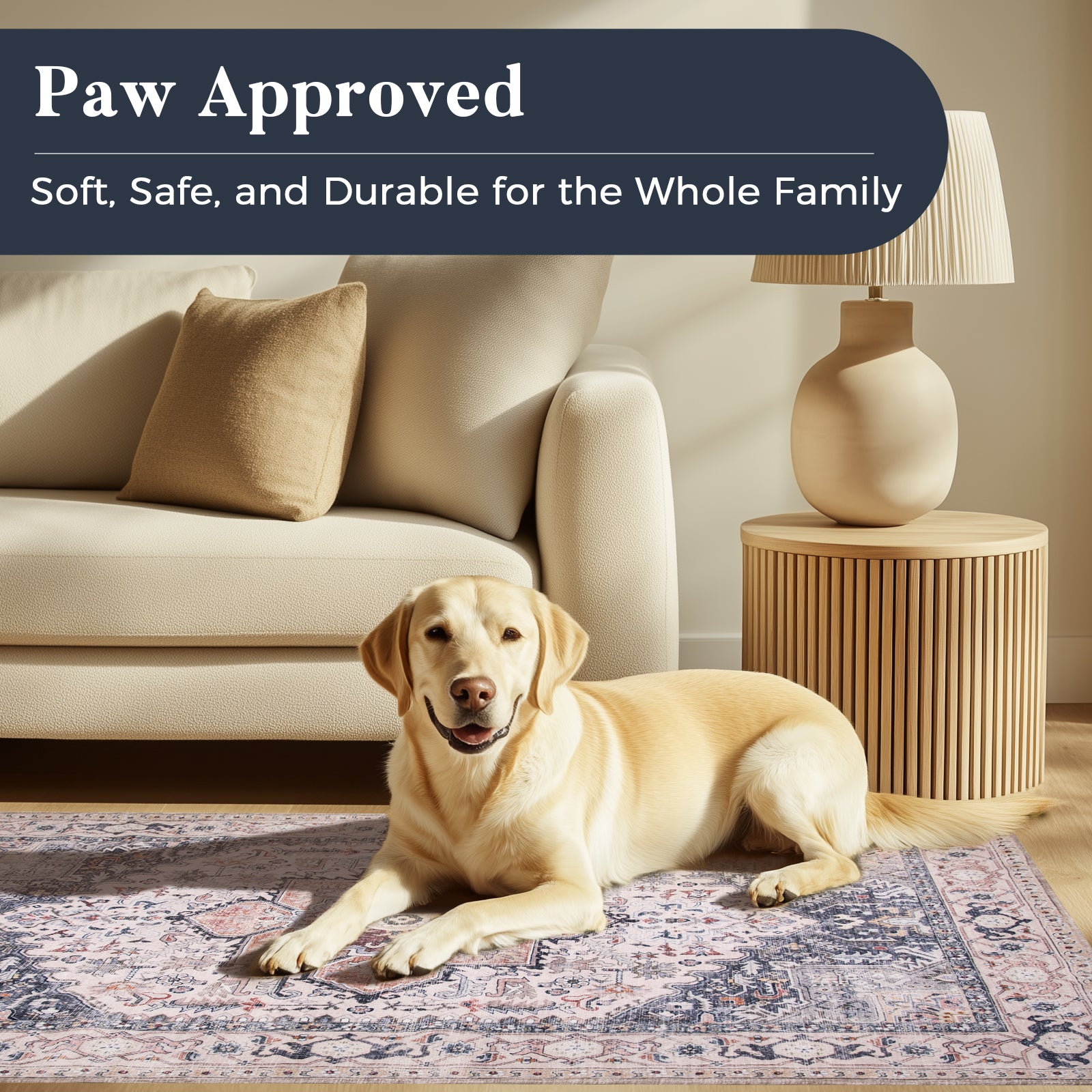 Machine Washable Farmhouse Boho Area Rug