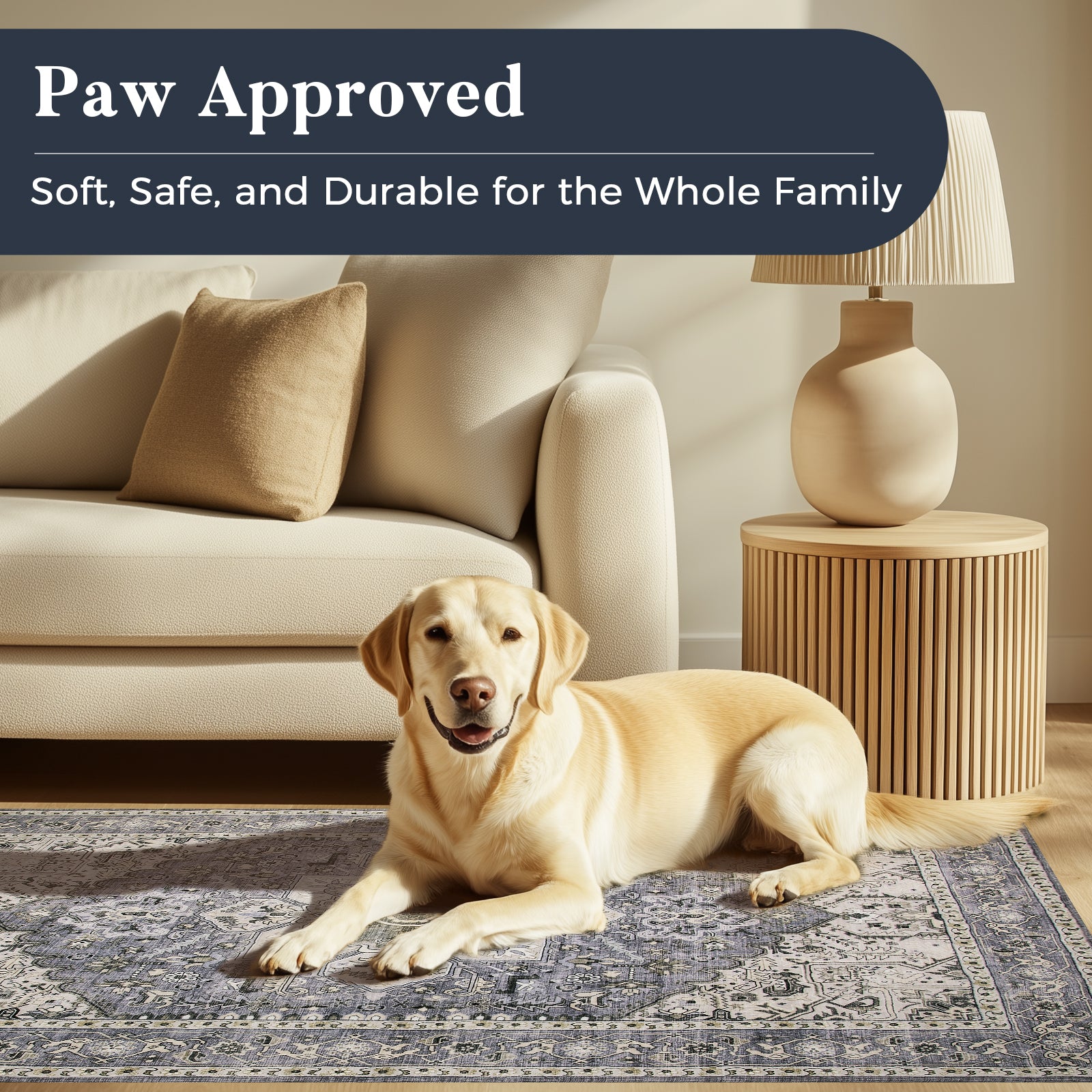 Machine Washable Farmhouse Boho Area Rug