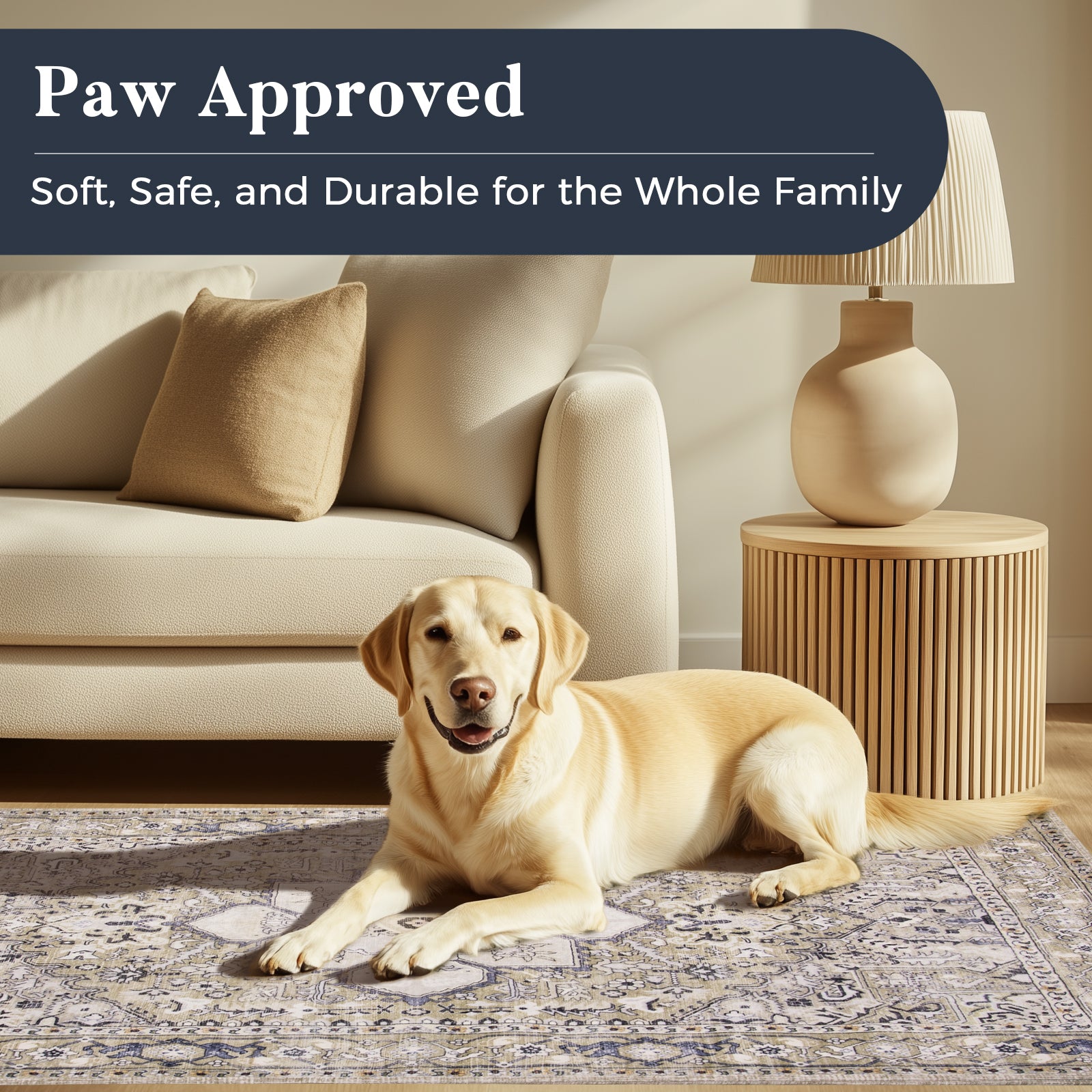 Machine Washable Farmhouse Boho Area Rug