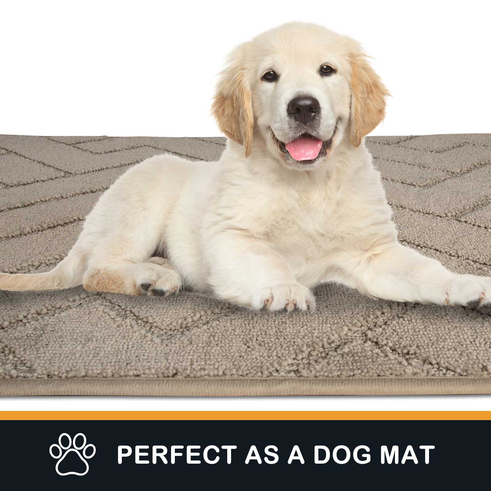 Machine Washable Chevron Dirt Trapper Door Mat