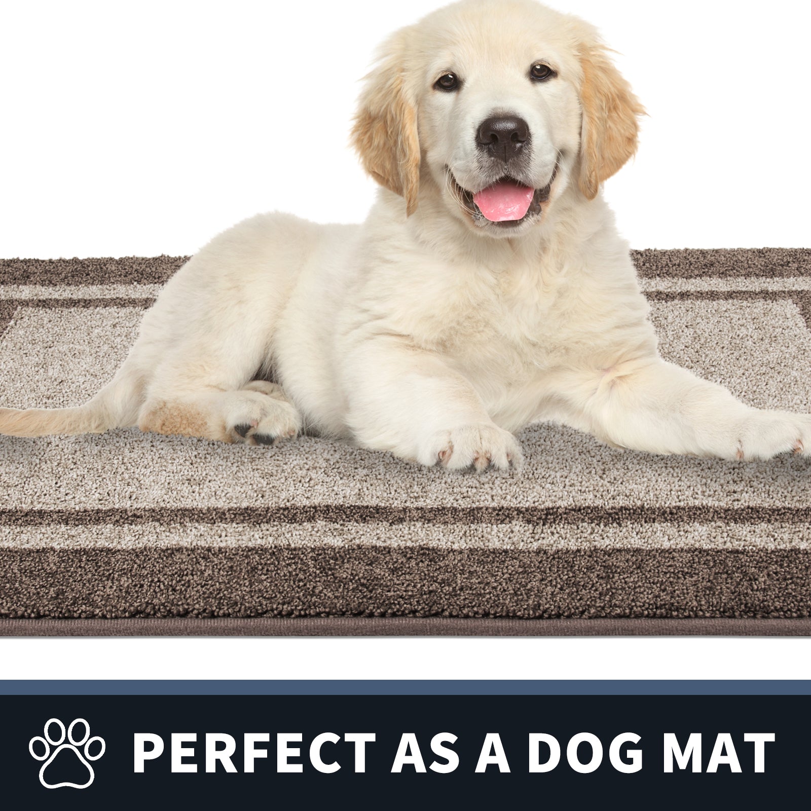 Machine Washable Bordered Dirt Trapper Door Mat