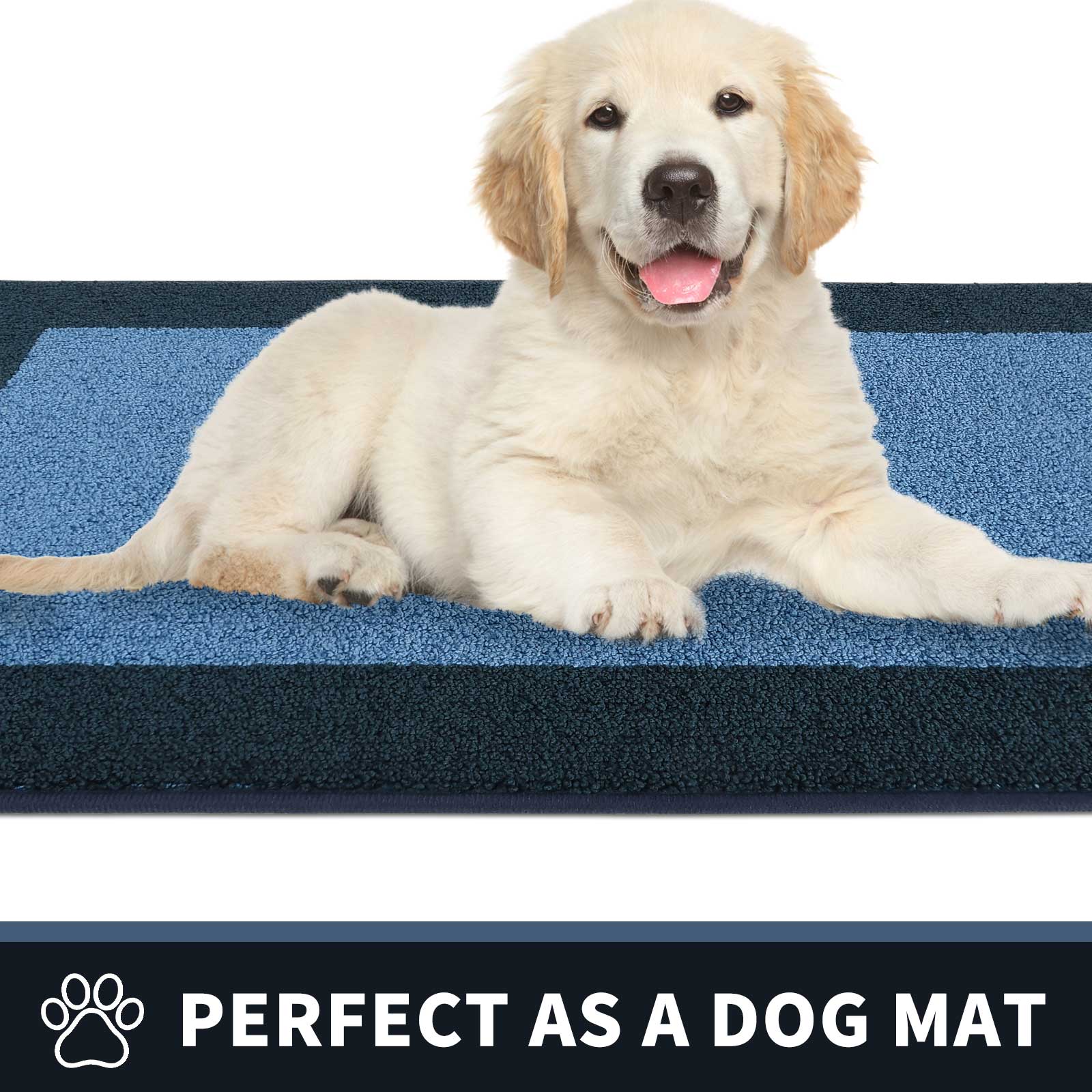 Machine Washable Bordered Dirt Trapper Door Mat