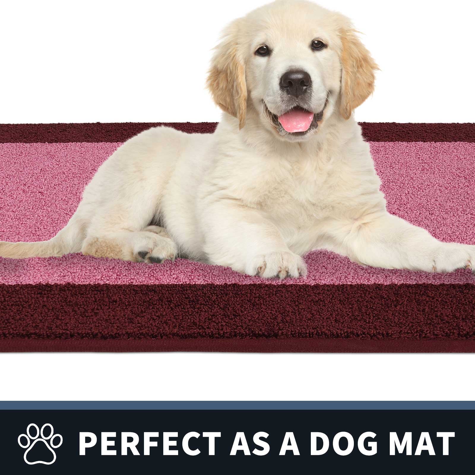 Machine Washable Bordered Dirt Trapper Door Mat