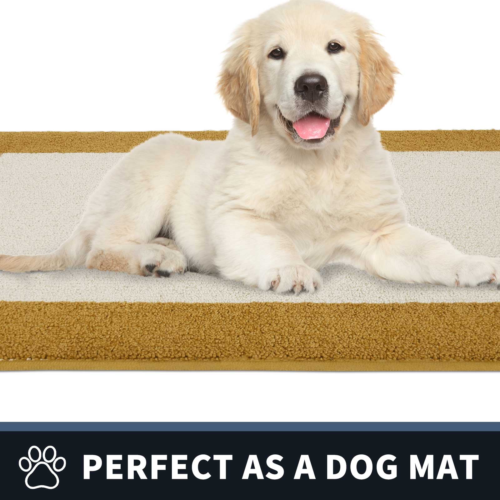 Machine Washable Bordered Dirt Trapper Door Mat