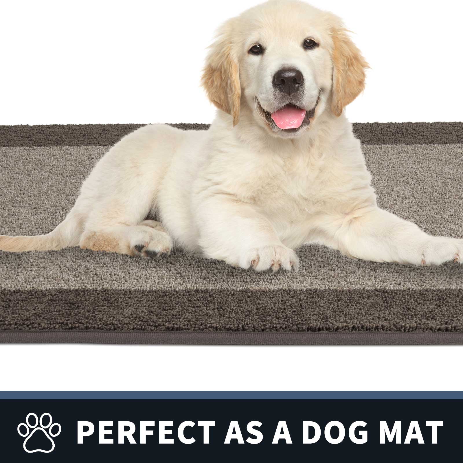 Machine Washable Bordered Dirt Trapper Door Mat