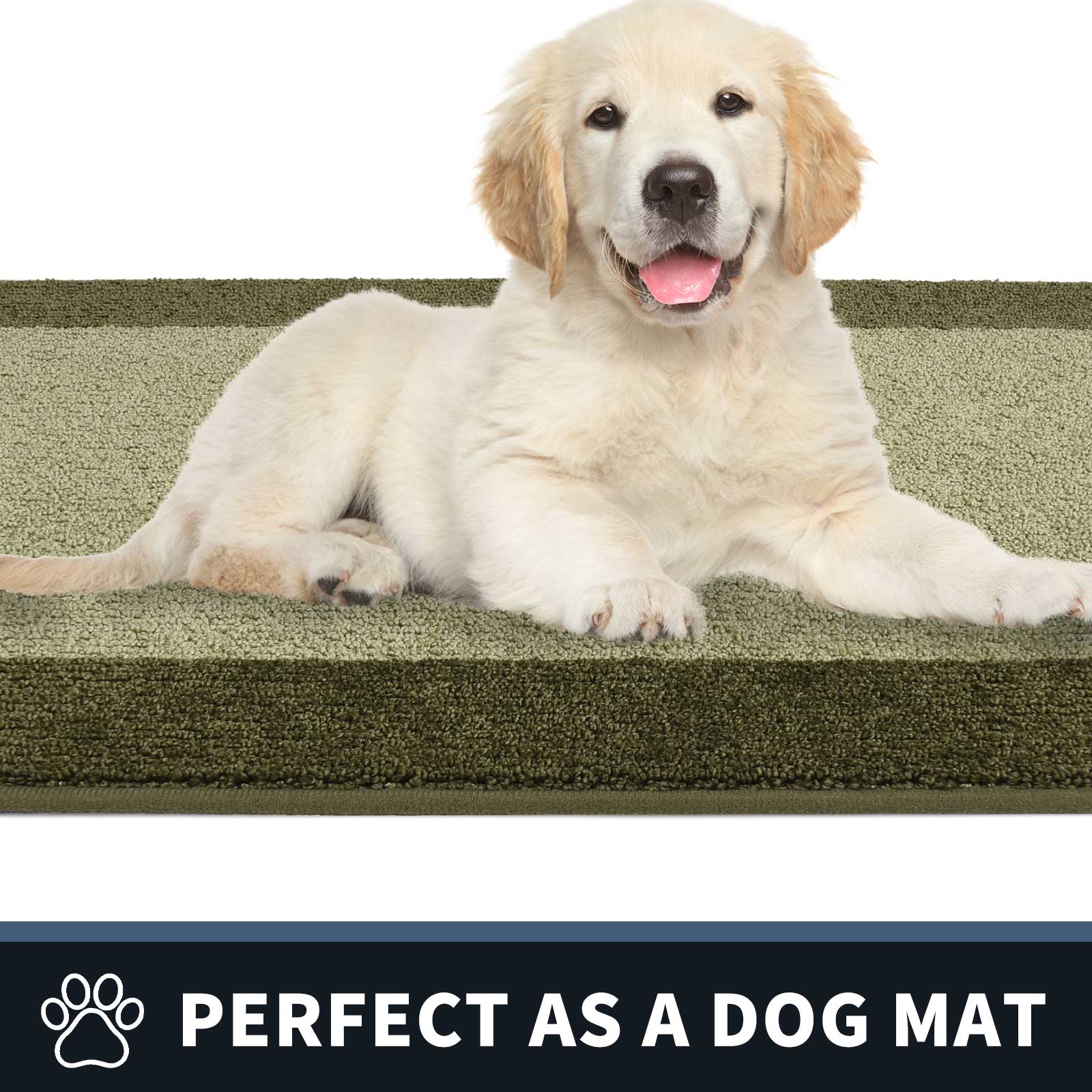 Machine Washable Bordered Dirt Trapper Door Mat
