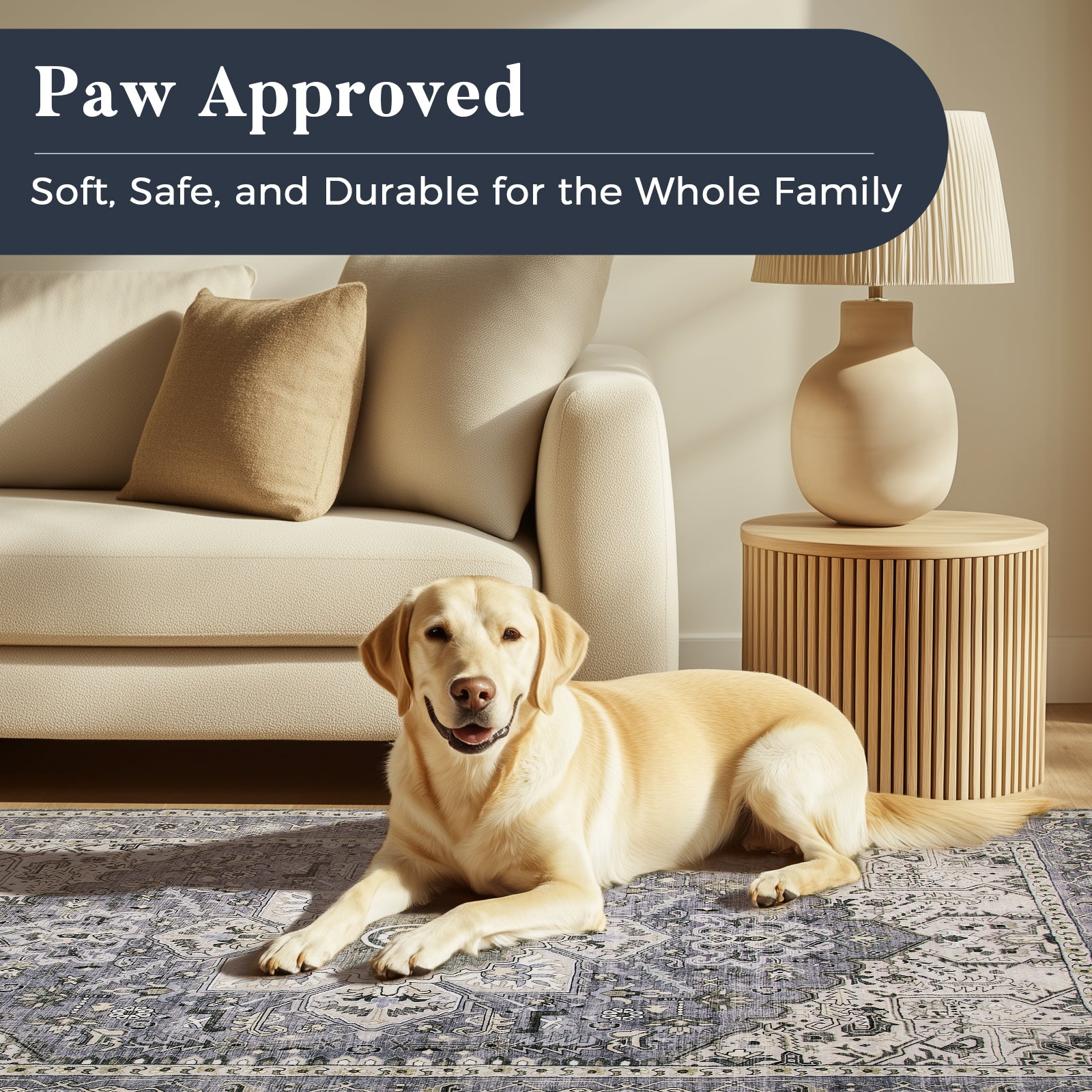 Machine Washable Farmhouse Boho Area Rug