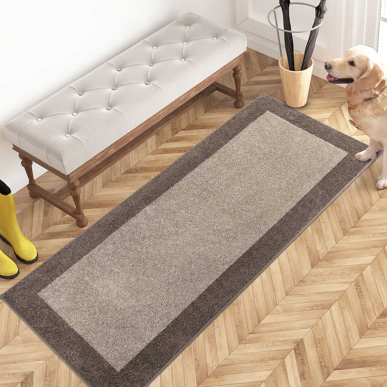 Machine Washable Bordered Dirt Trapper Door Mat