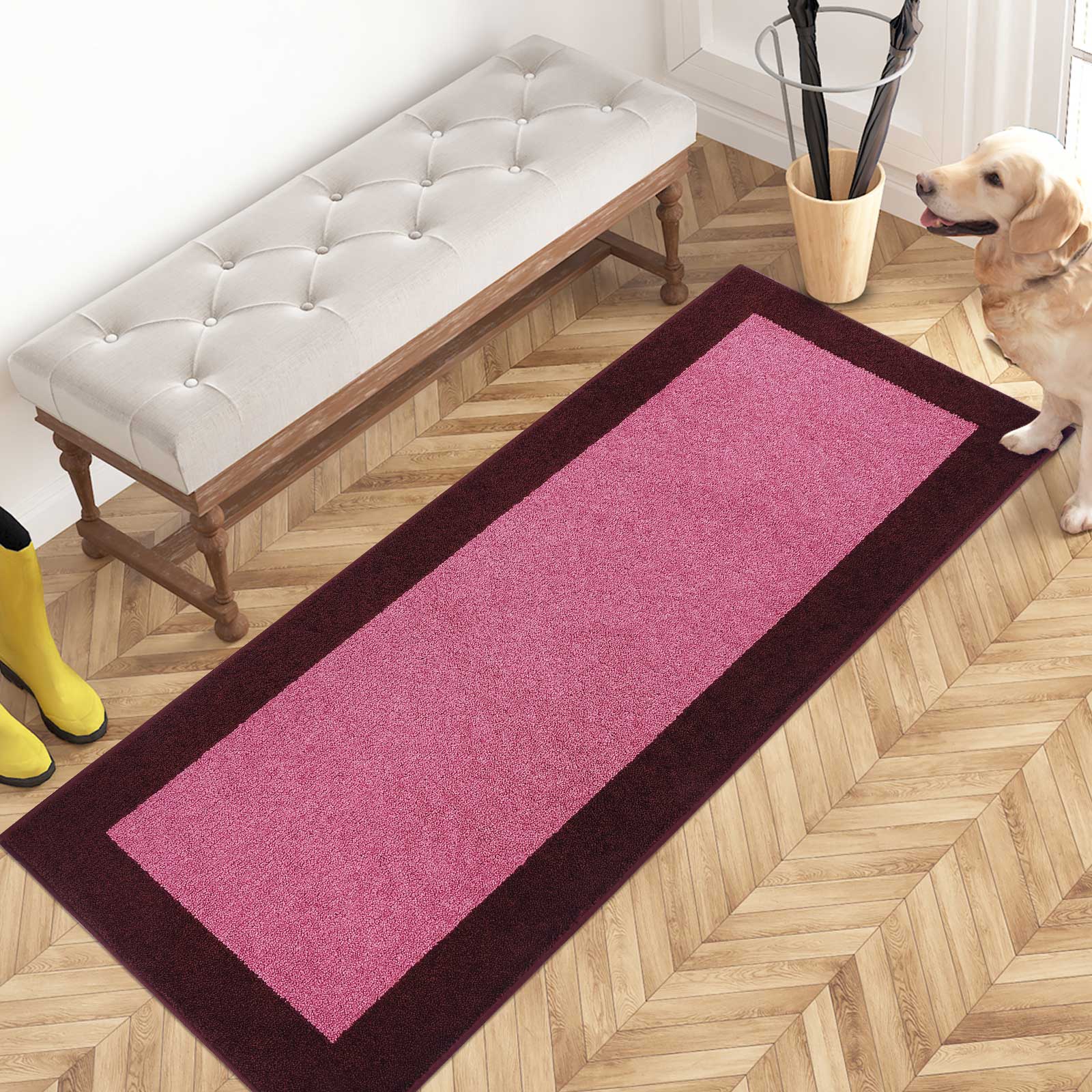 Machine Washable Bordered Dirt Trapper Door Mat