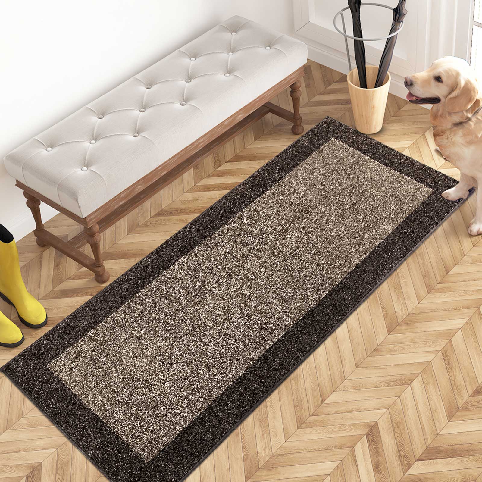 Machine Washable Bordered Dirt Trapper Door Mat