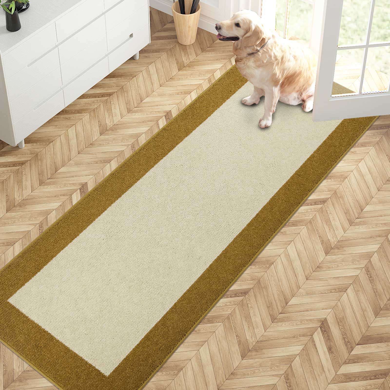 Machine Washable Bordered Dirt Trapper Door Mat