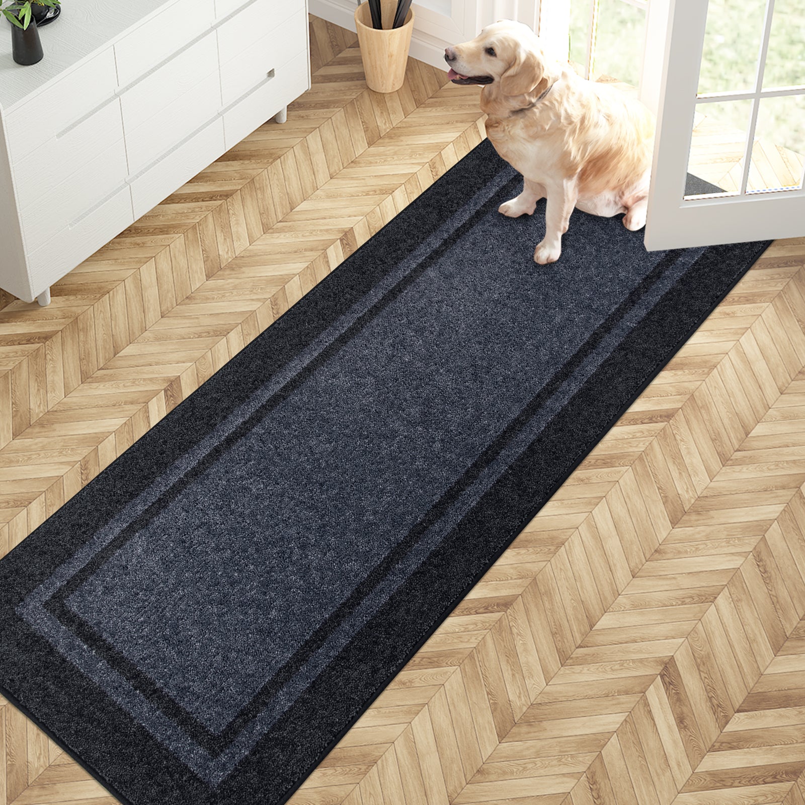 Machine Washable Bordered Dirt Trapper Door Mat