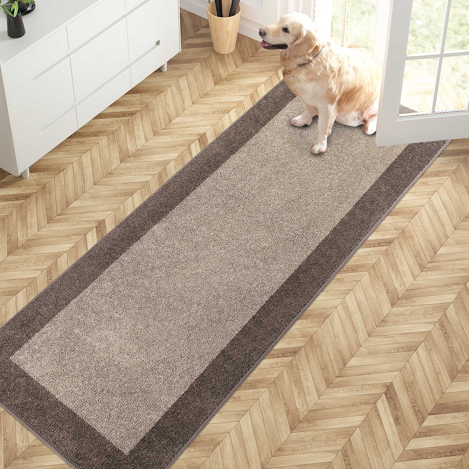 Machine Washable Bordered Dirt Trapper Door Mat
