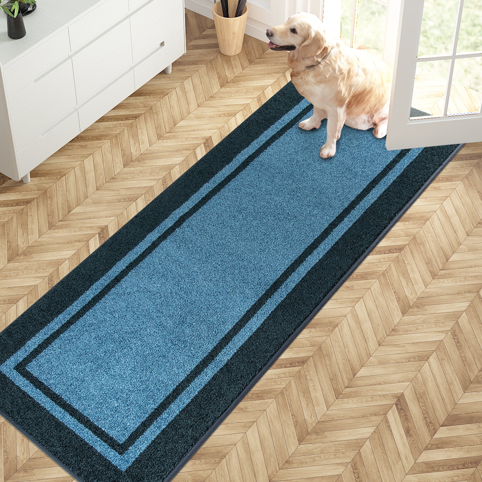 Machine Washable Bordered Dirt Trapper Door Mat
