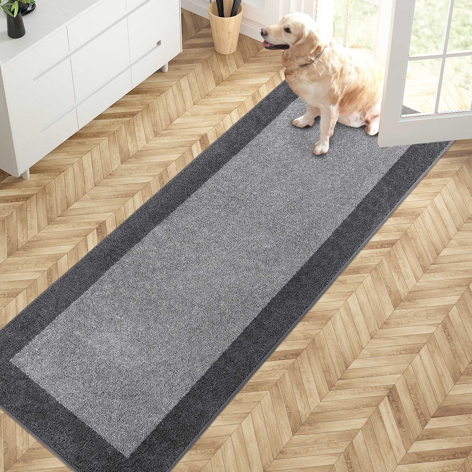 Machine Washable Bordered Dirt Trapper Door Mat
