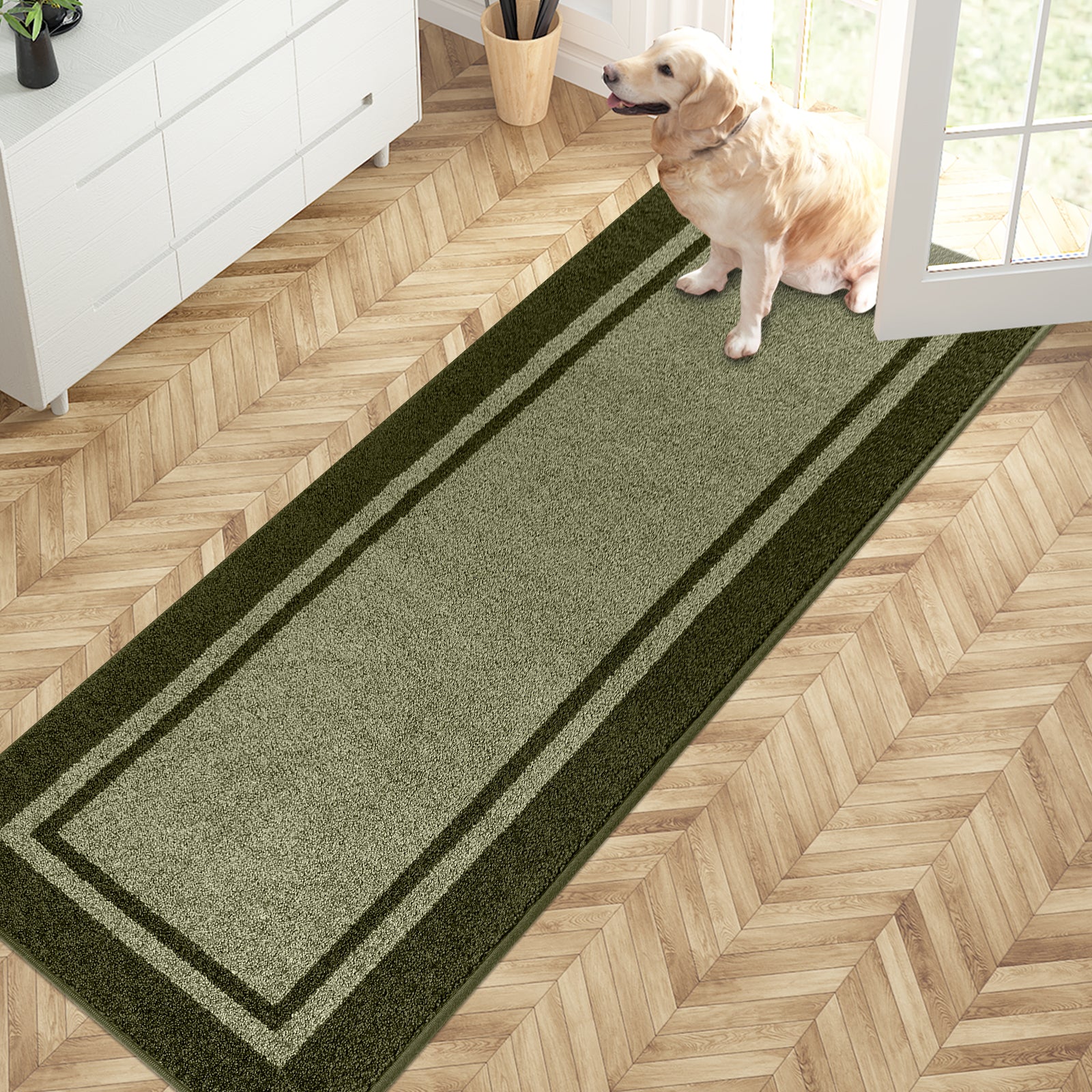 Machine Washable Bordered Dirt Trapper Door Mat