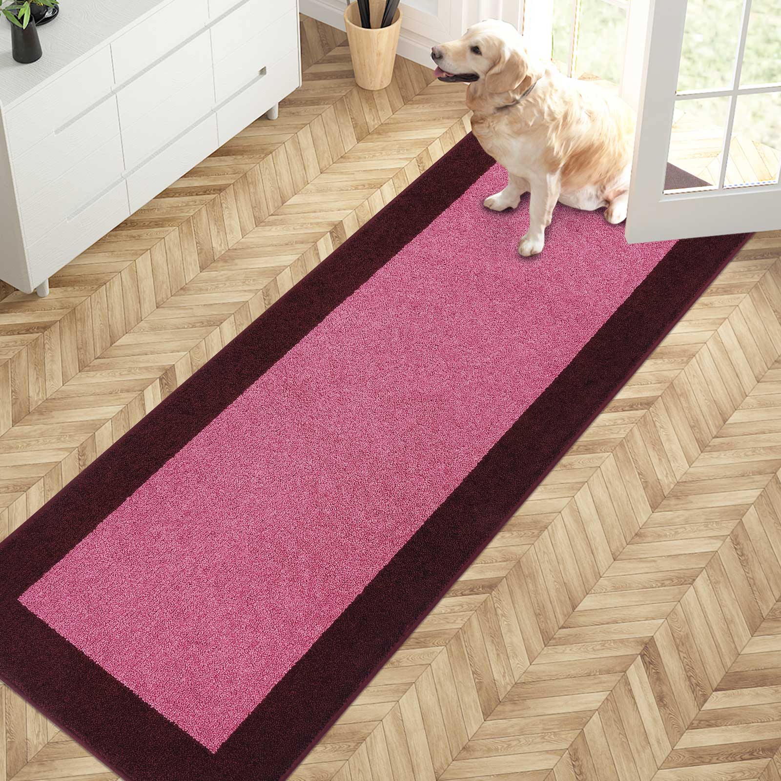 Machine Washable Bordered Dirt Trapper Door Mat