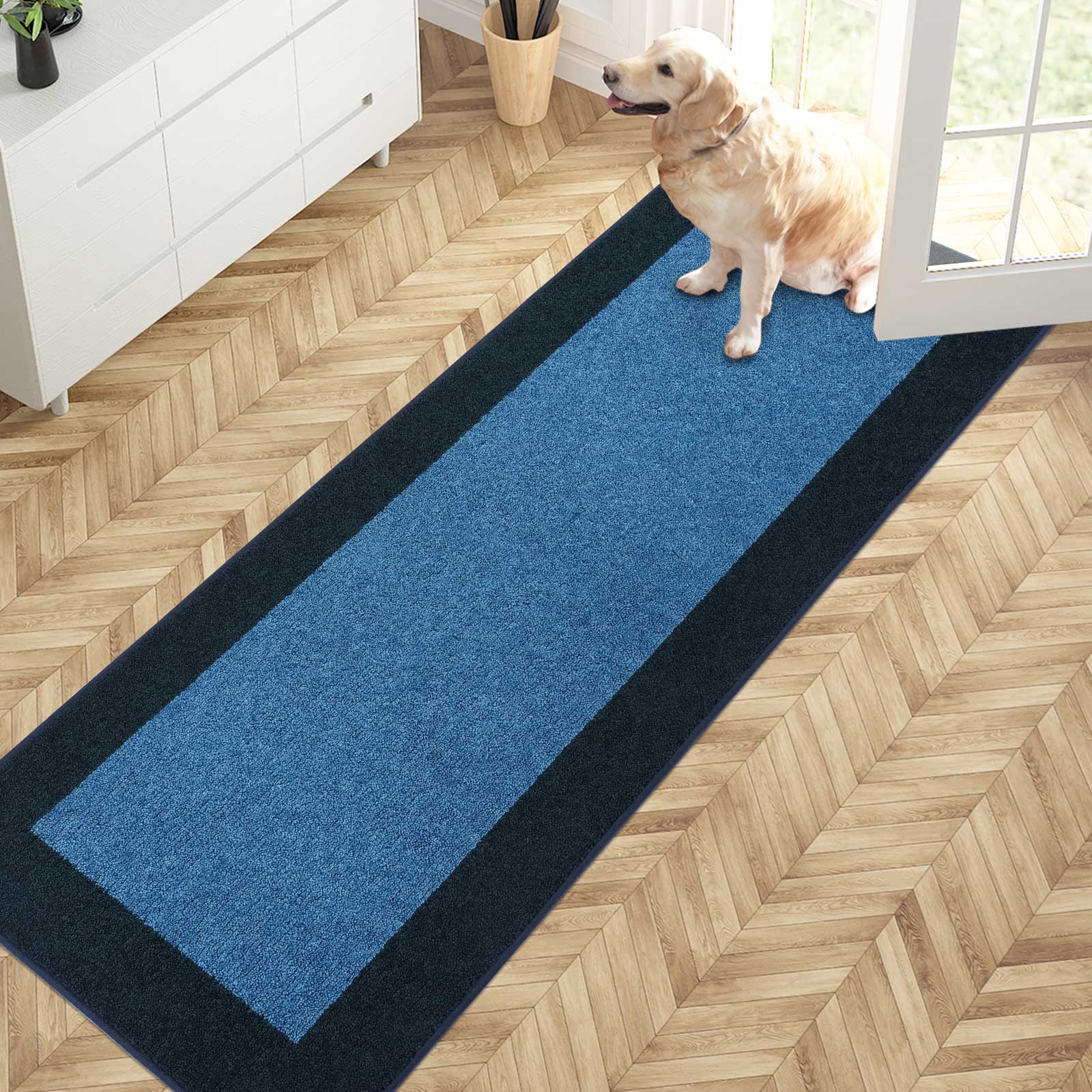 Machine Washable Bordered Dirt Trapper Door Mat