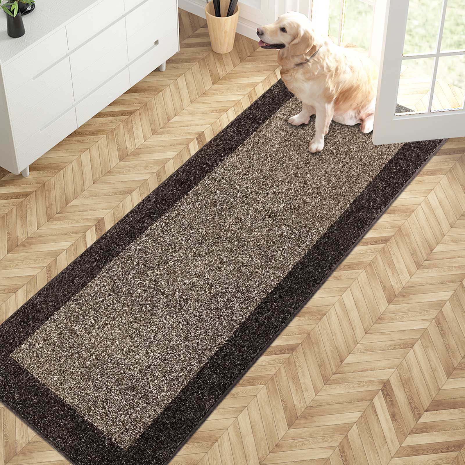 Machine Washable Bordered Dirt Trapper Door Mat