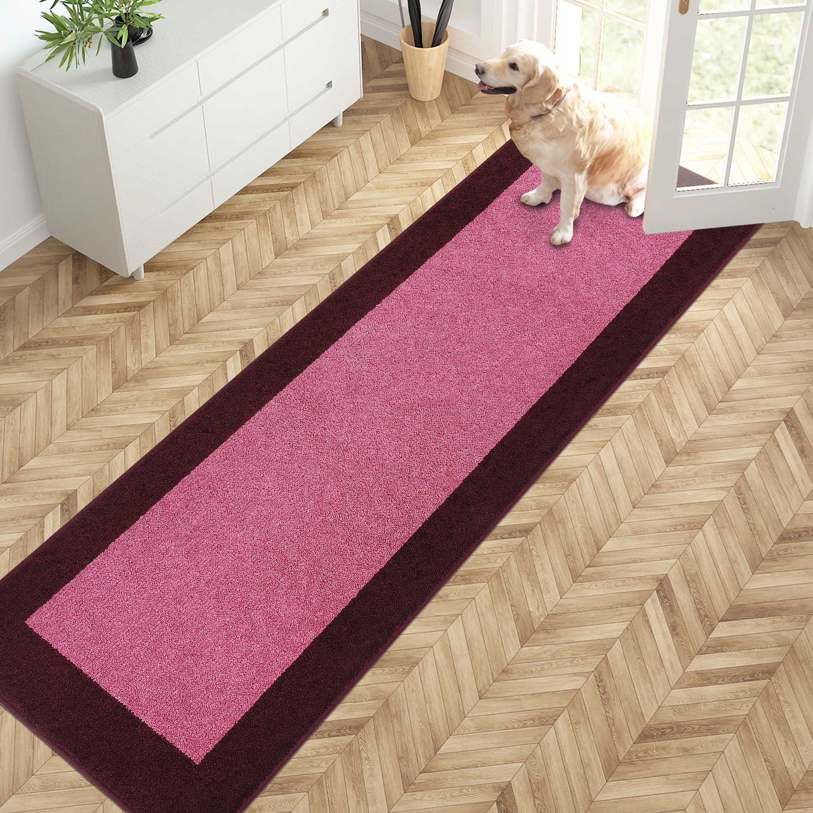 Machine Washable Bordered Dirt Trapper Door Mat