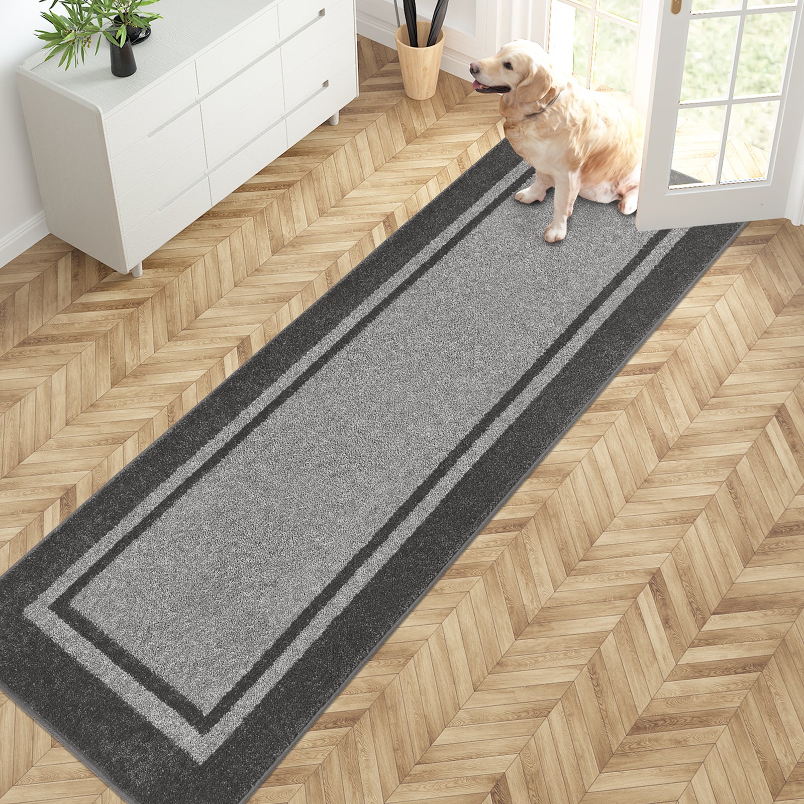 Machine Washable Bordered Dirt Trapper Door Mat