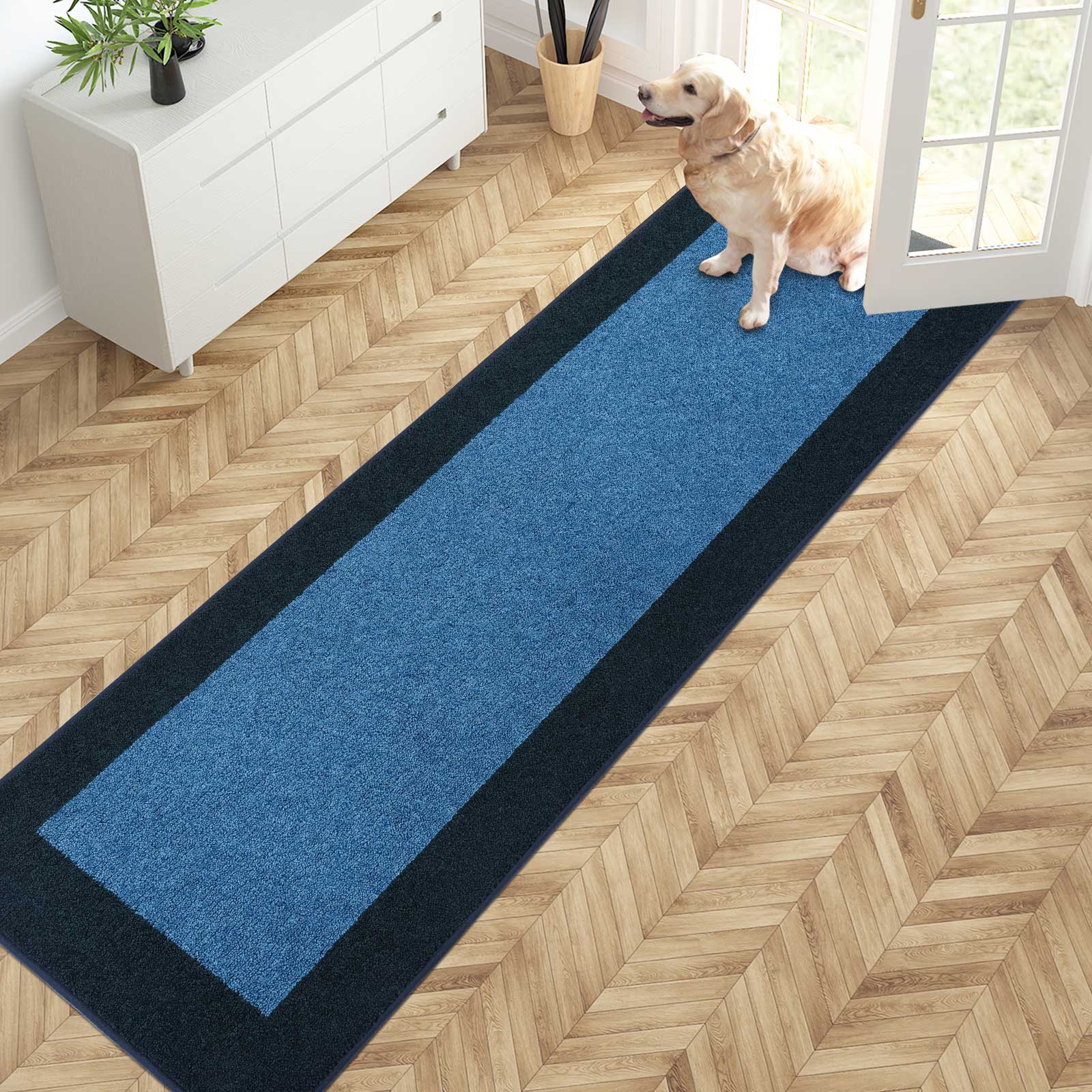 Machine Washable Bordered Dirt Trapper Door Mat