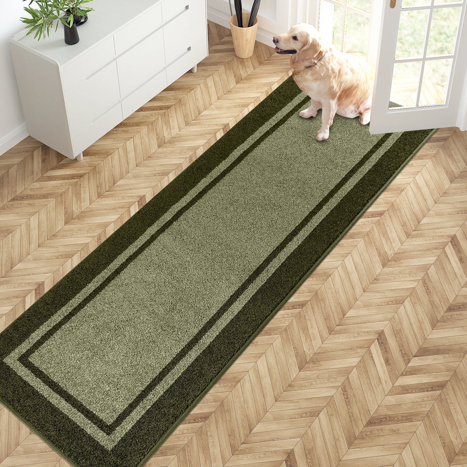 Machine Washable Bordered Dirt Trapper Door Mat