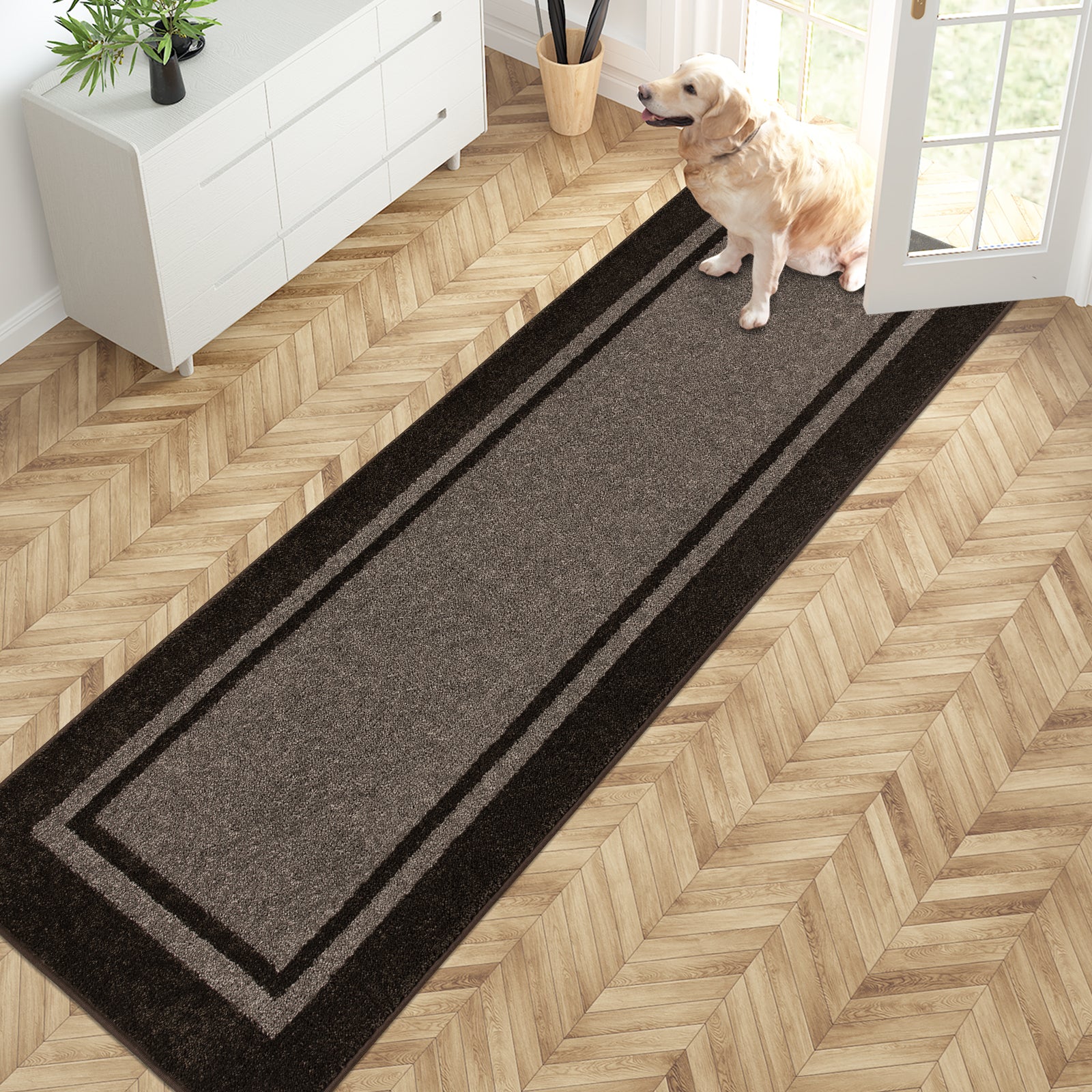 Machine Washable Bordered Dirt Trapper Door Mat