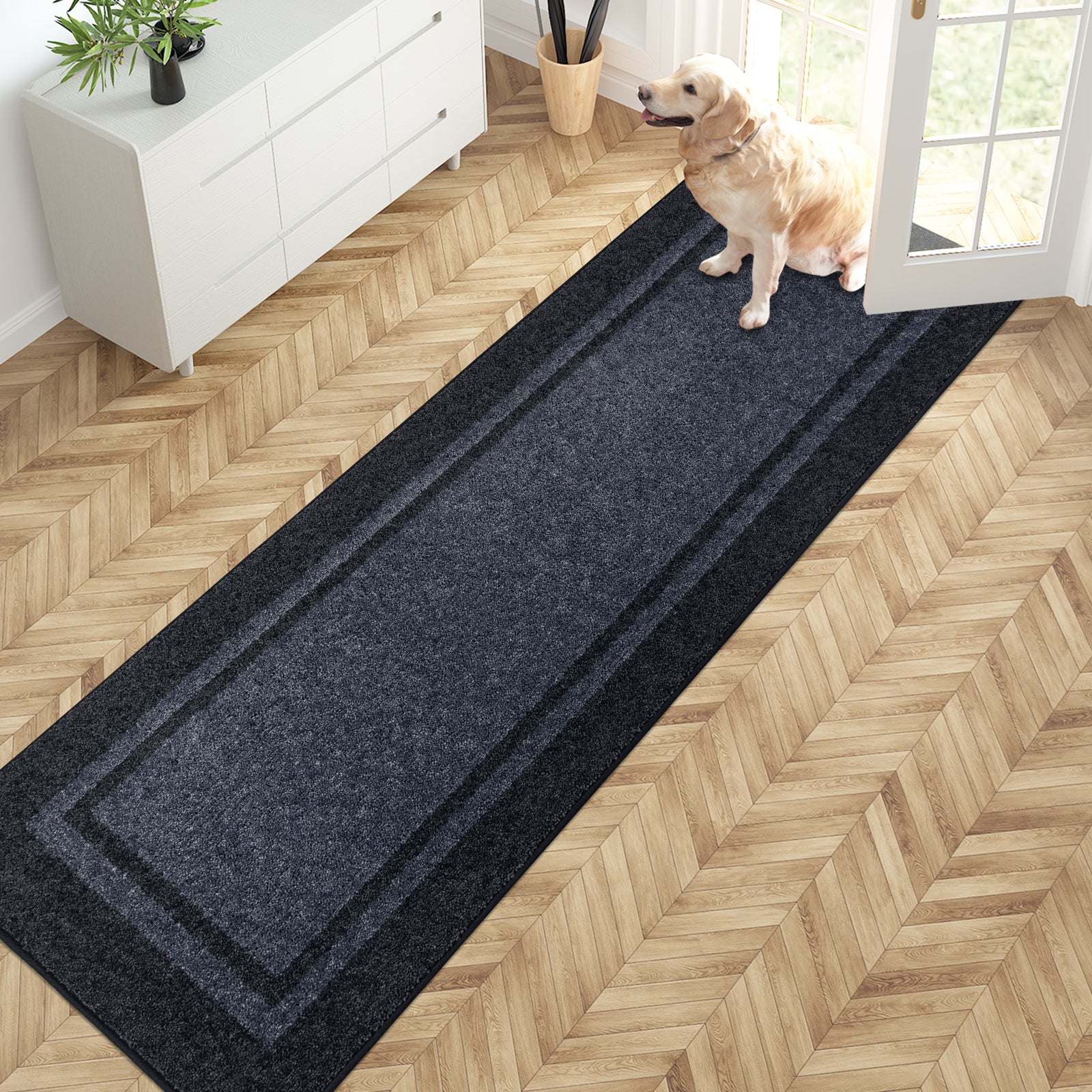Machine Washable Bordered Dirt Trapper Door Mat