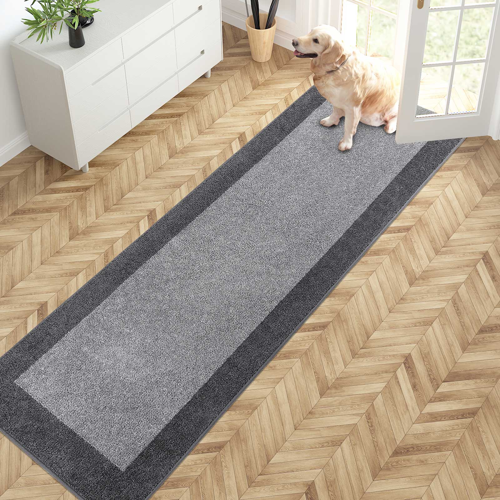 Machine Washable Bordered Dirt Trapper Door Mat