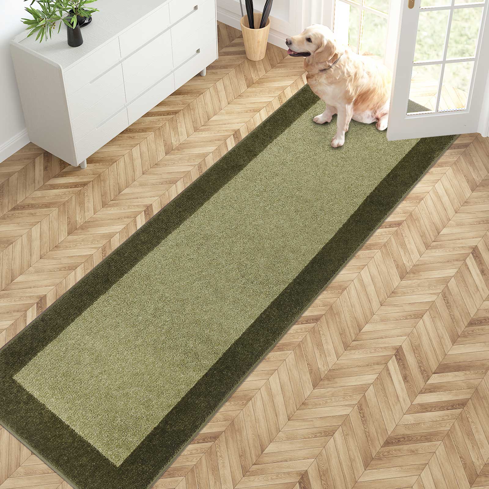Machine Washable Bordered Dirt Trapper Door Mat