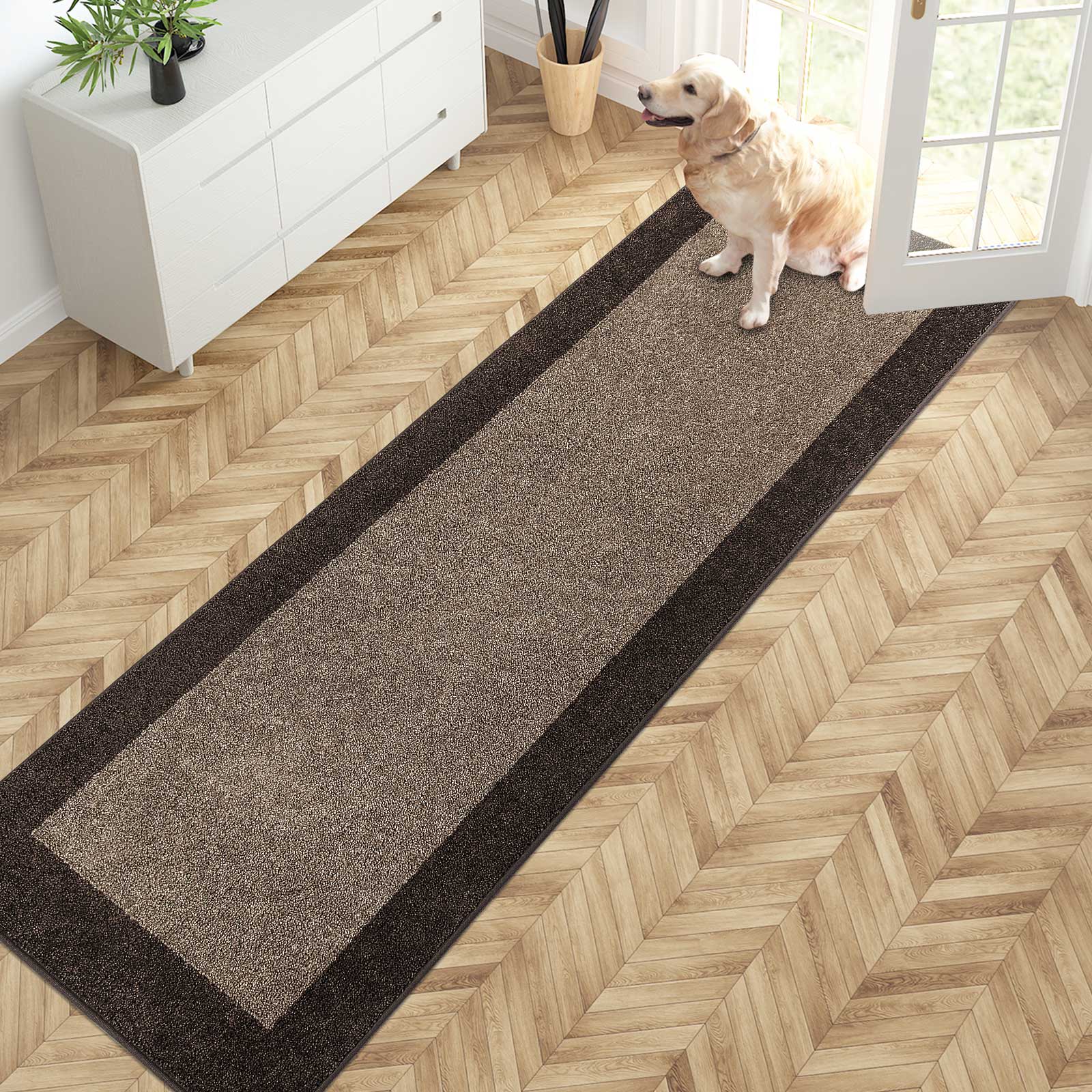 Machine Washable Bordered Dirt Trapper Door Mat