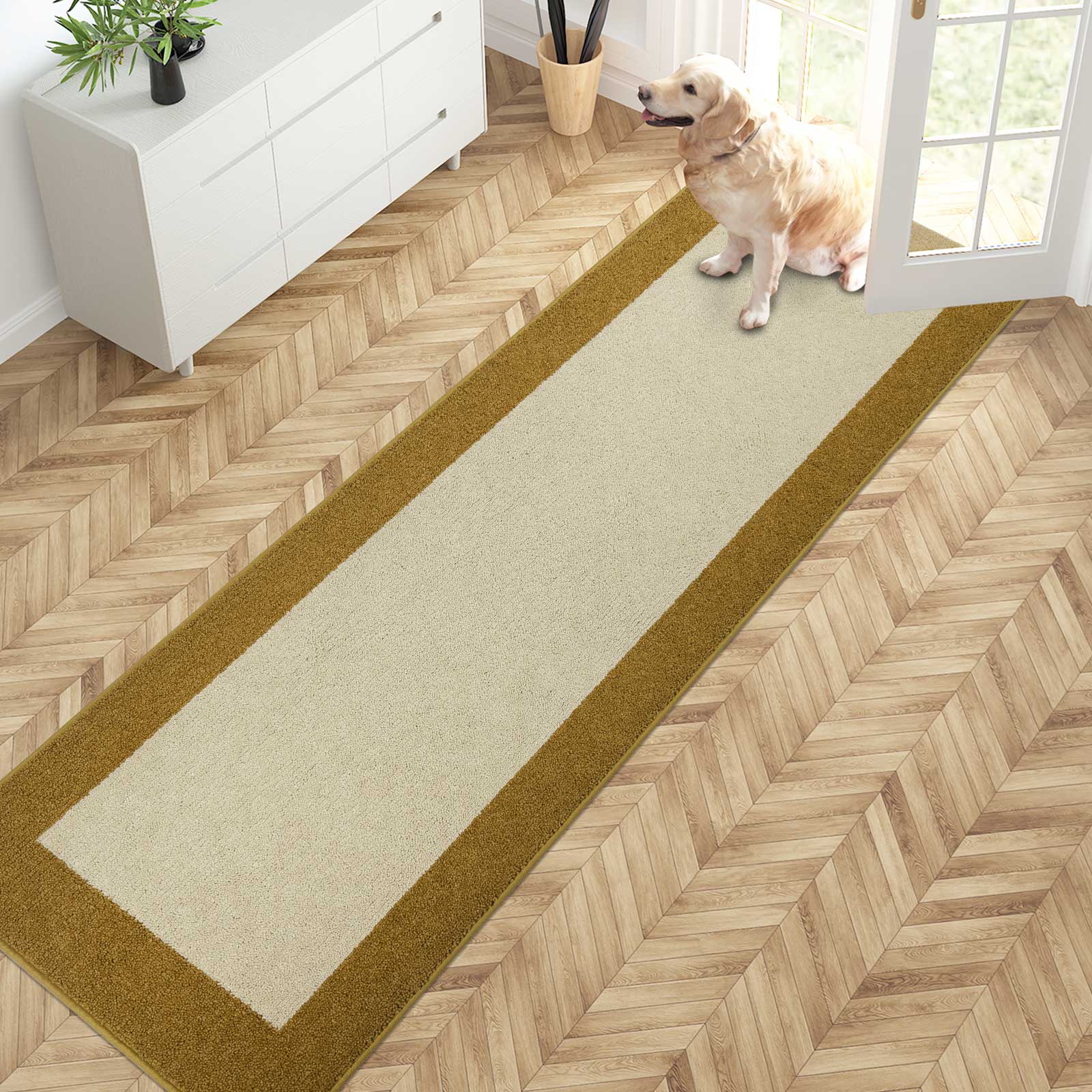 Machine Washable Bordered Dirt Trapper Door Mat