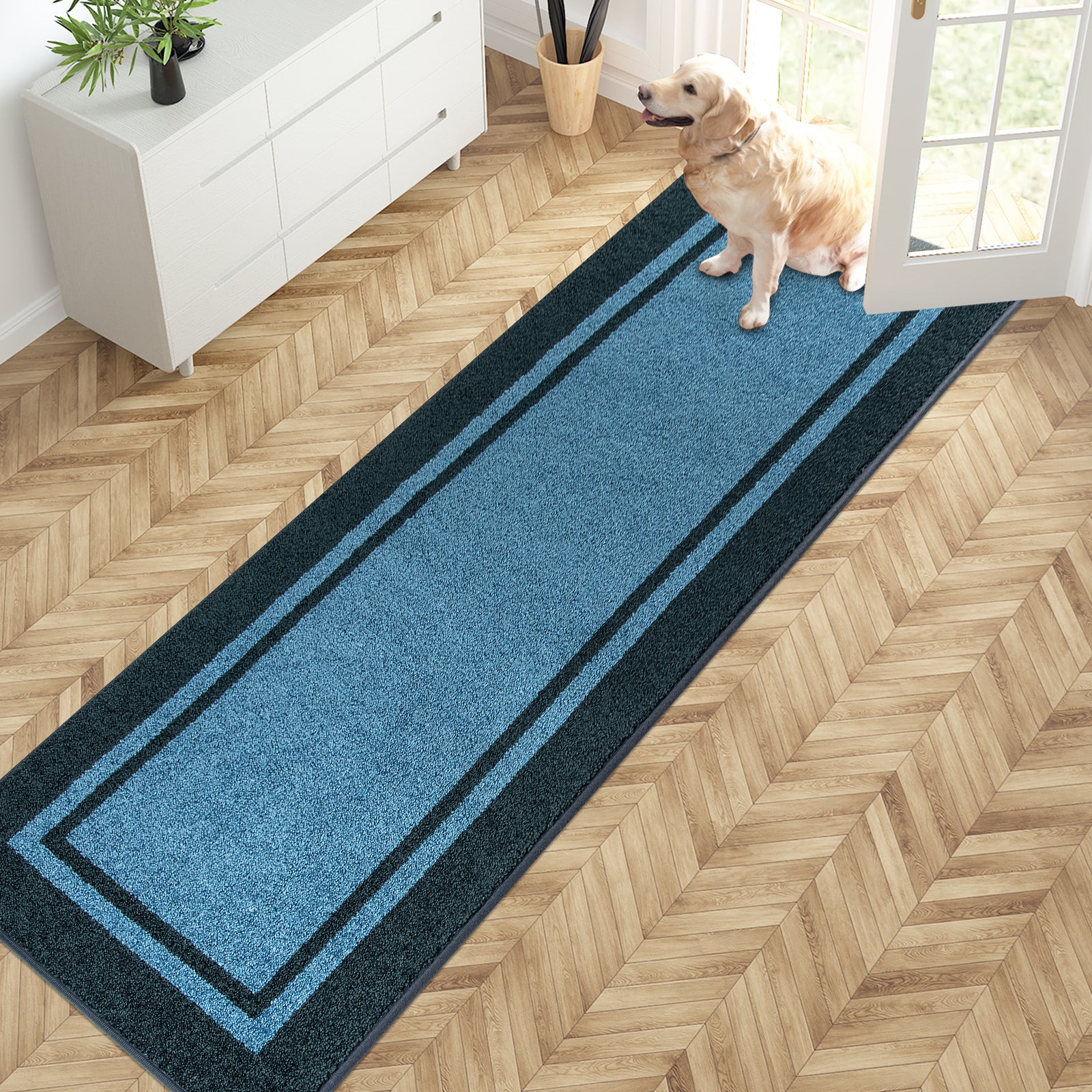 Machine Washable Bordered Dirt Trapper Door Mat