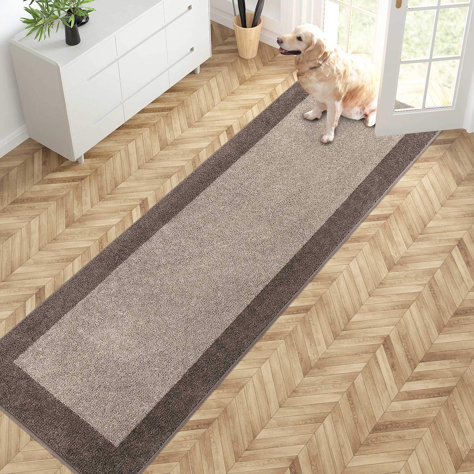 Machine Washable Bordered Dirt Trapper Door Mat