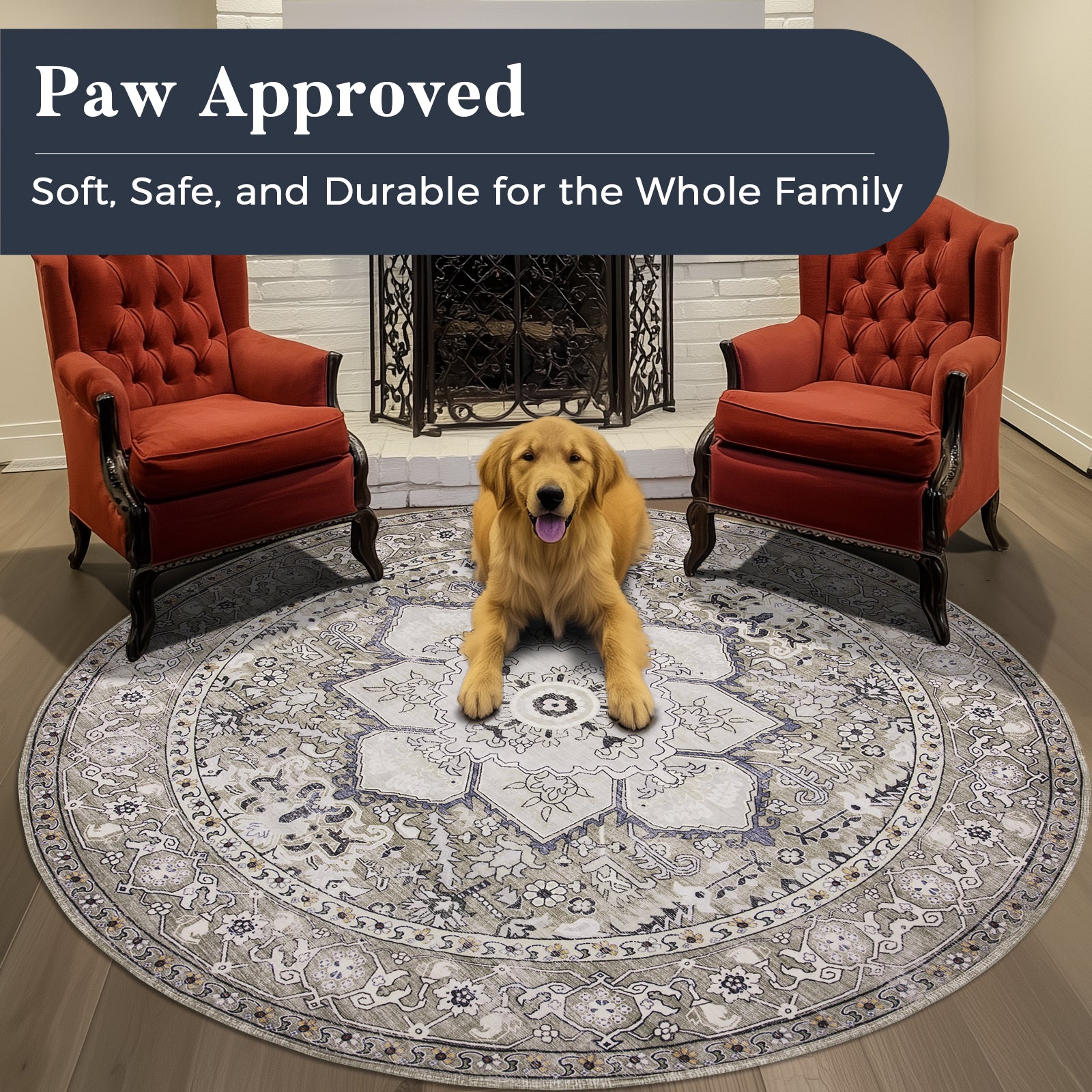 Machine Washable Farmhouse Boho Area Rug