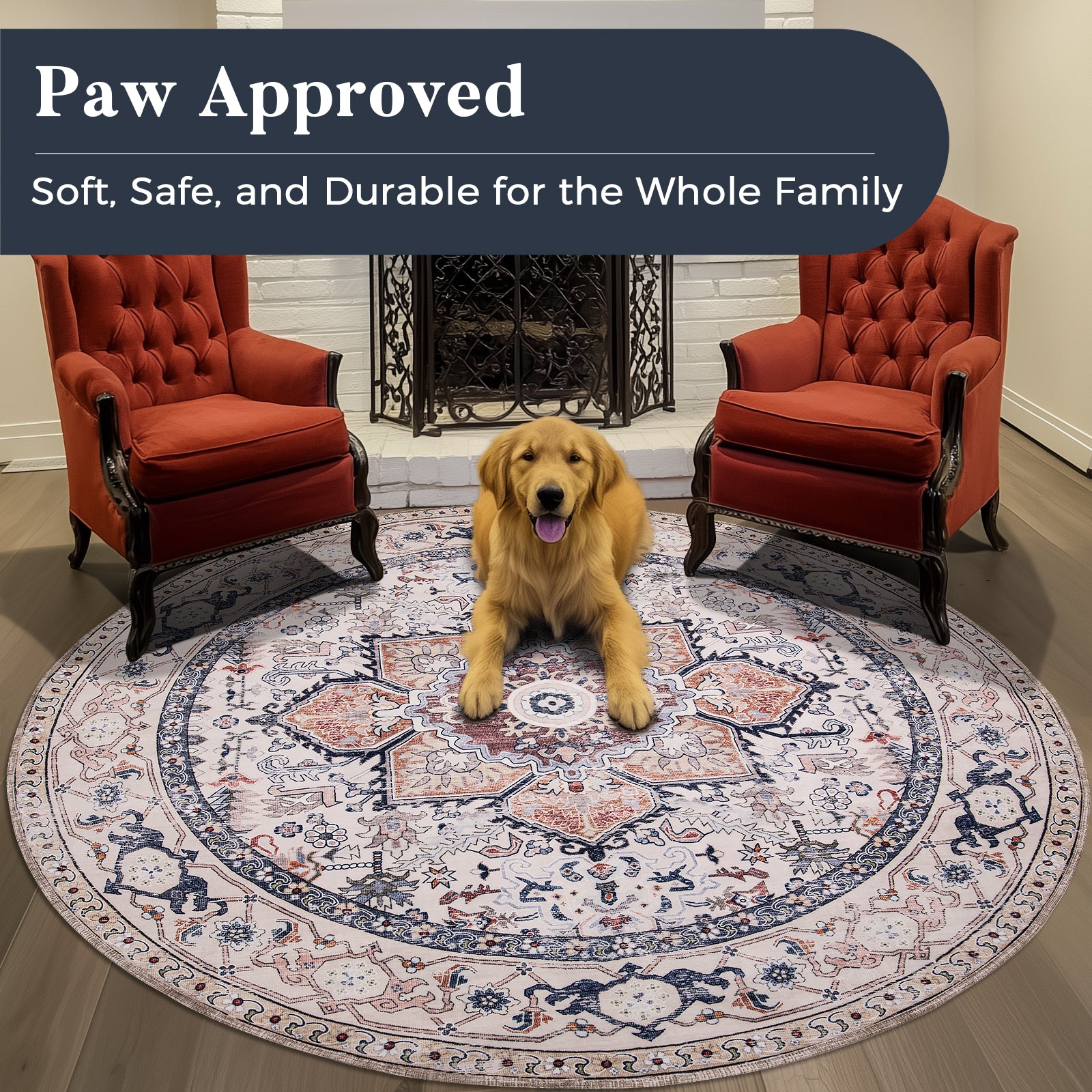 Machine Washable Farmhouse Boho Area Rug