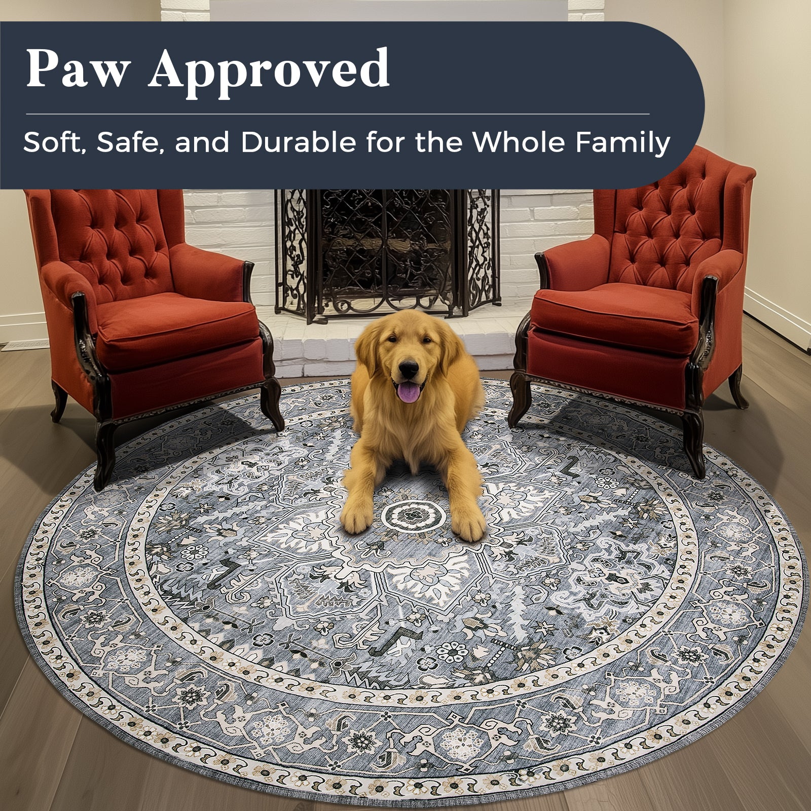 Machine Washable Farmhouse Boho Area Rug