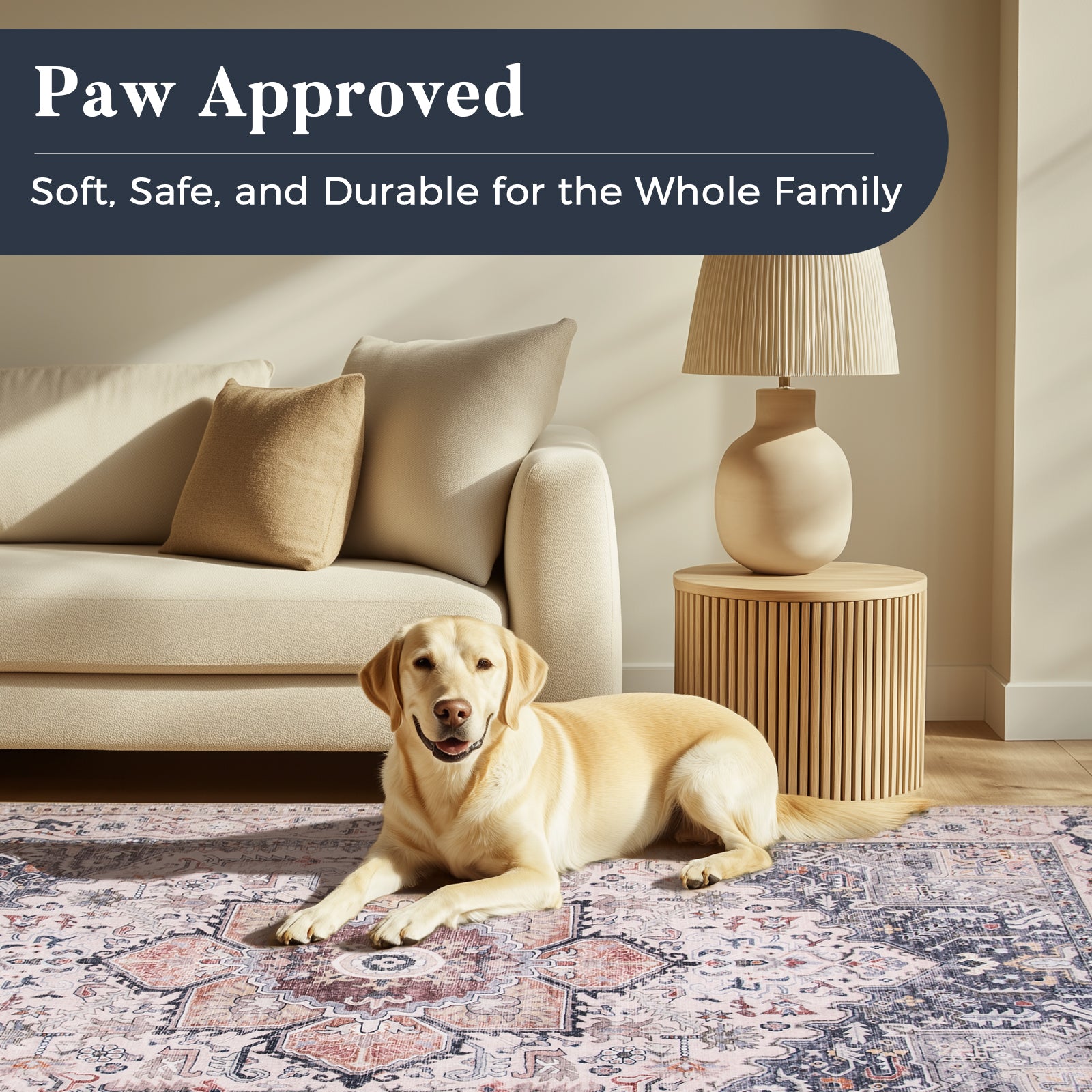 Machine Washable Farmhouse Boho Area Rug