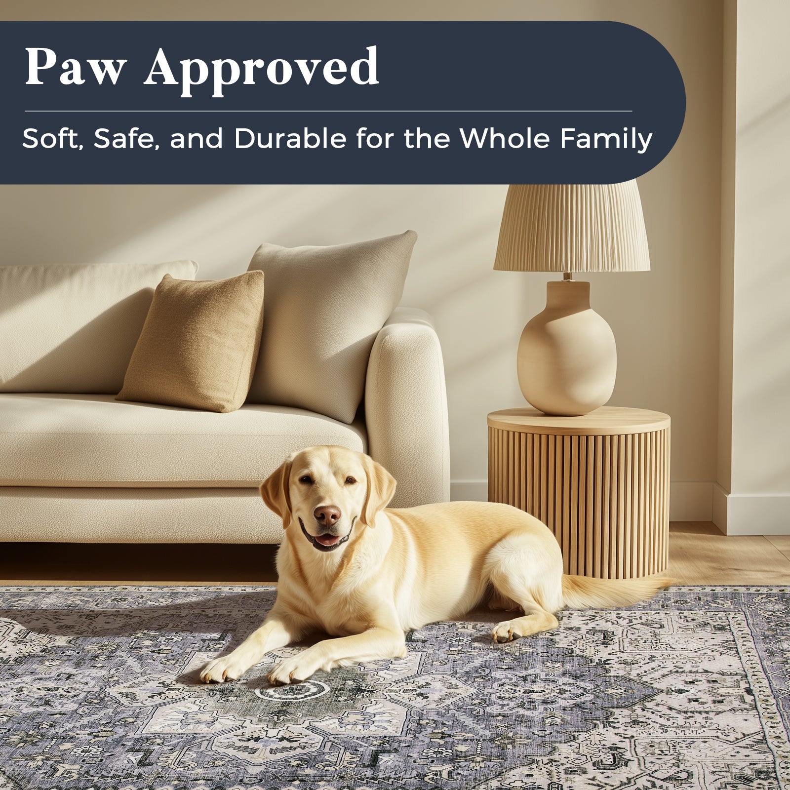 Machine Washable Farmhouse Boho Area Rug